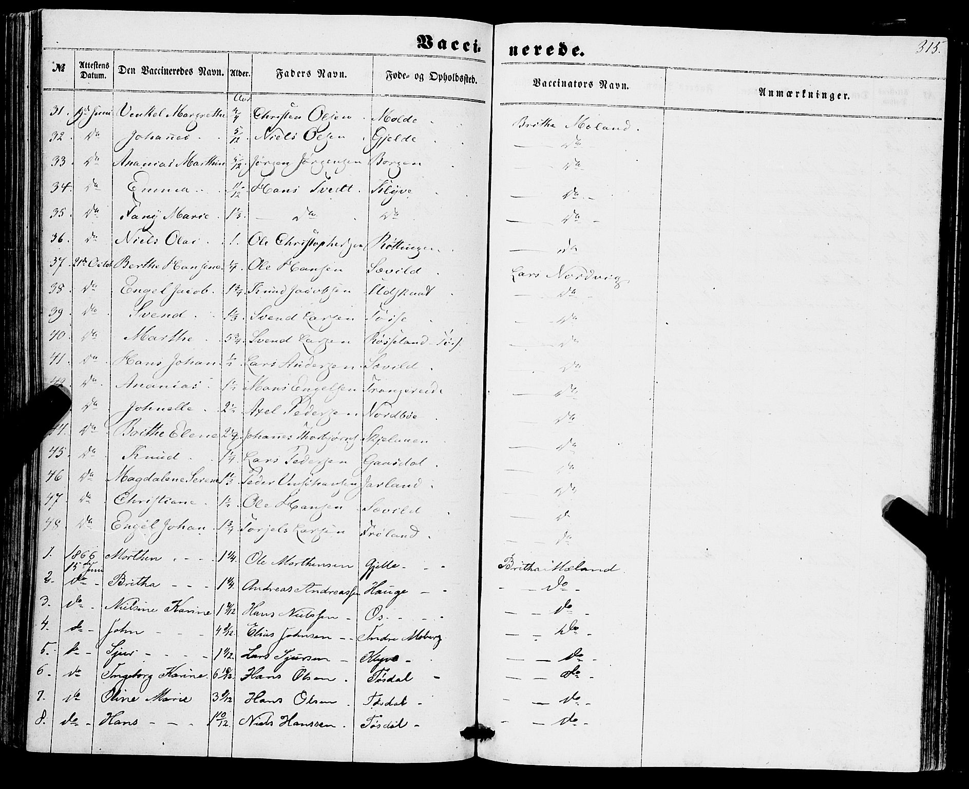 Os sokneprestembete, AV/SAB-A-99929: Parish register (official) no. A 17, 1860-1873, p. 315