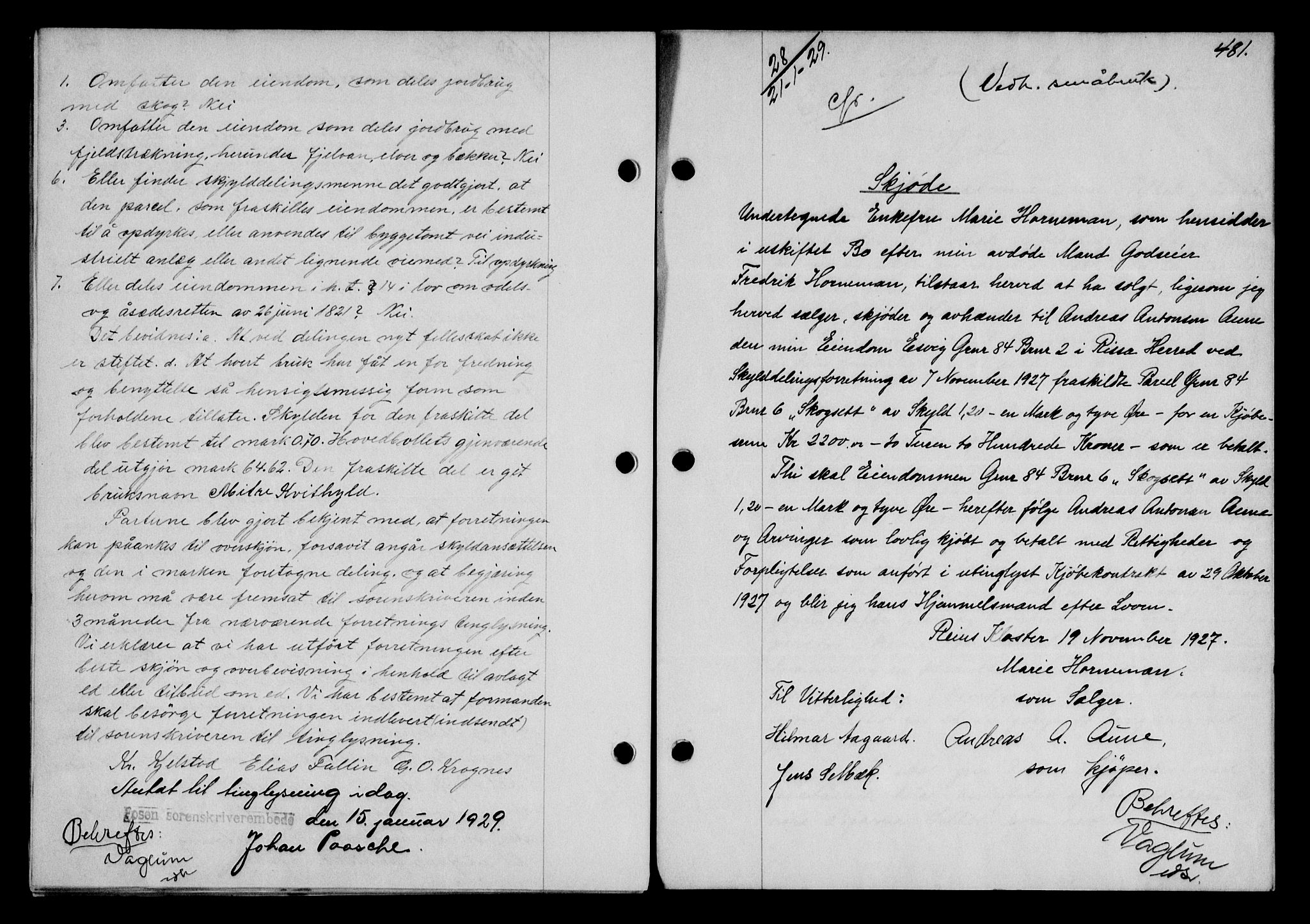 Fosen sorenskriveri, AV/SAT-A-1107/1/2/2C/L0067: Mortgage book no. 58, 1928-1929, p. 481, Deed date: 21.01.1929