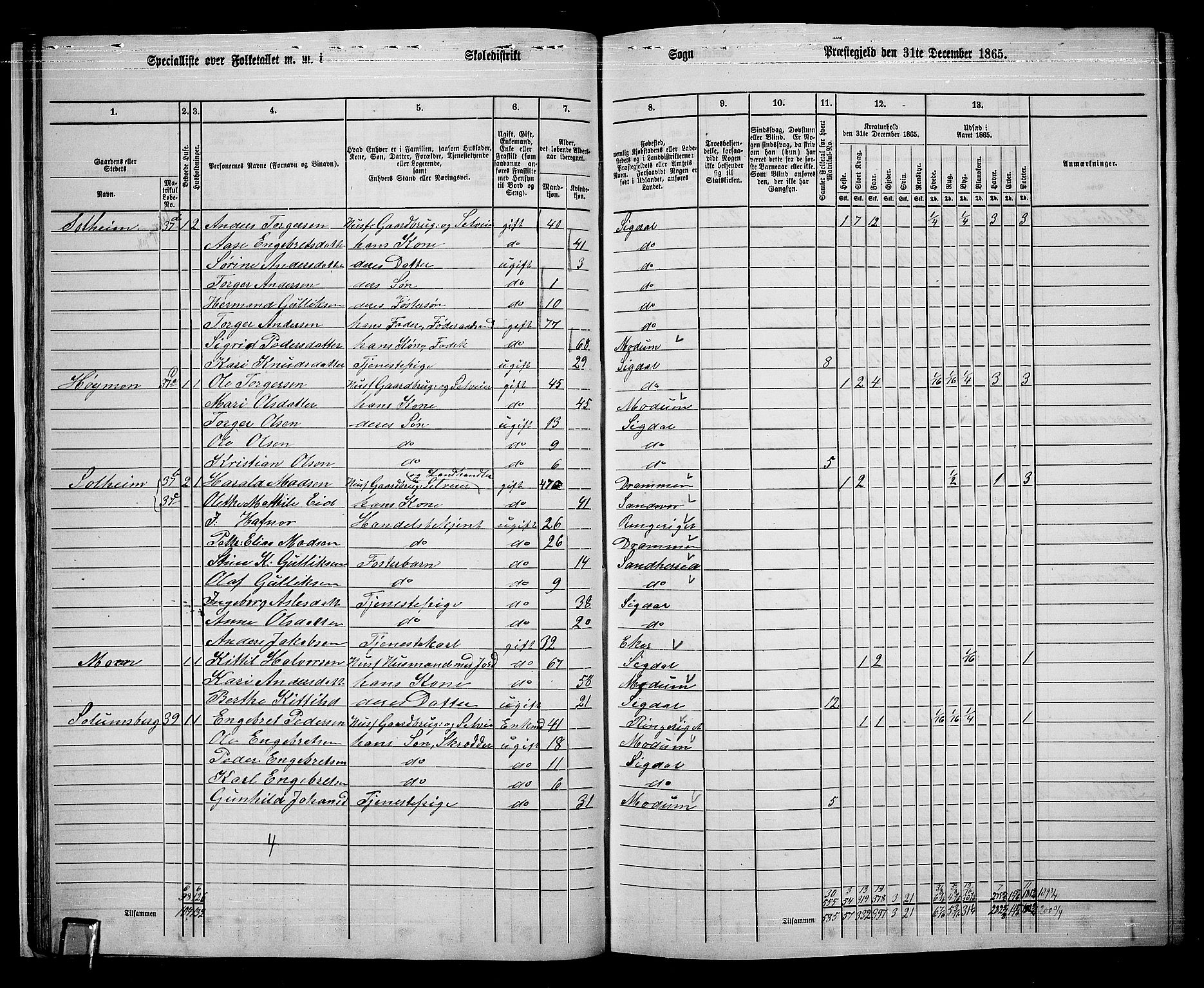 RA, 1865 census for Sigdal, 1865, p. 38