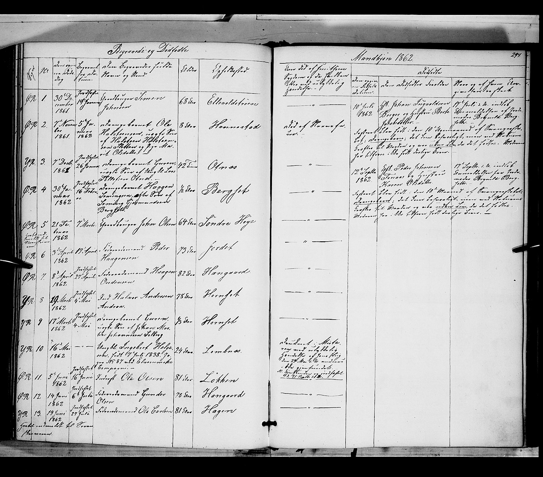 Rendalen prestekontor, AV/SAH-PREST-054/H/Ha/Haa/L0005: Parish register (official) no. 5, 1853-1866, p. 294