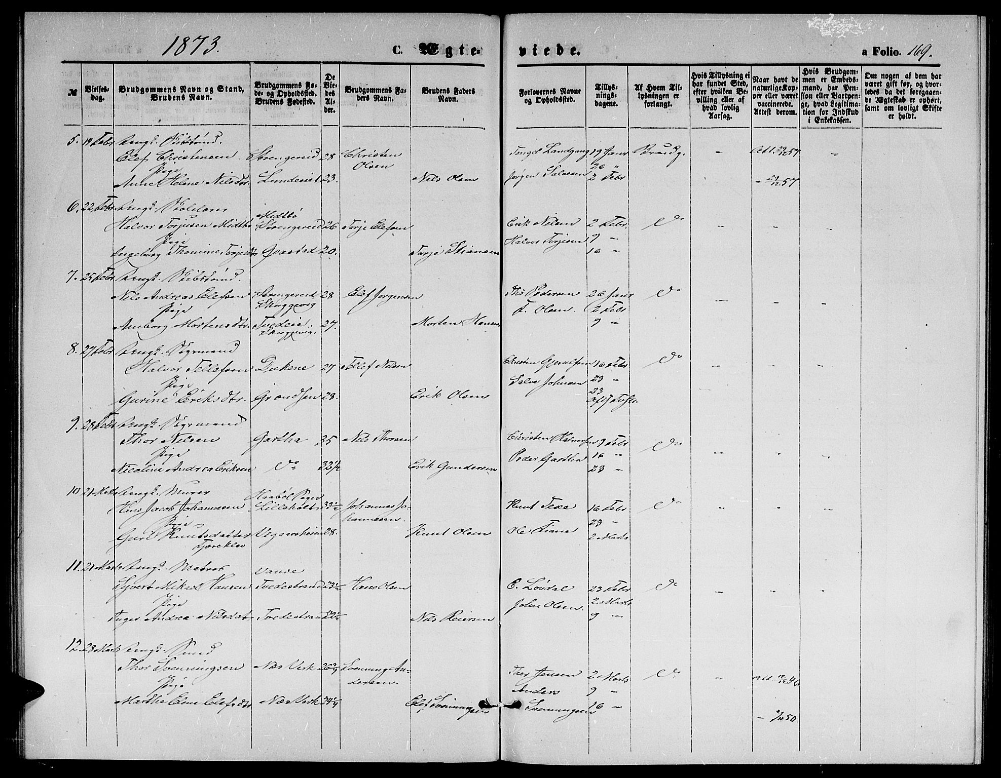 Holt sokneprestkontor, AV/SAK-1111-0021/F/Fb/L0009: Parish register (copy) no. B 9, 1871-1883, p. 169