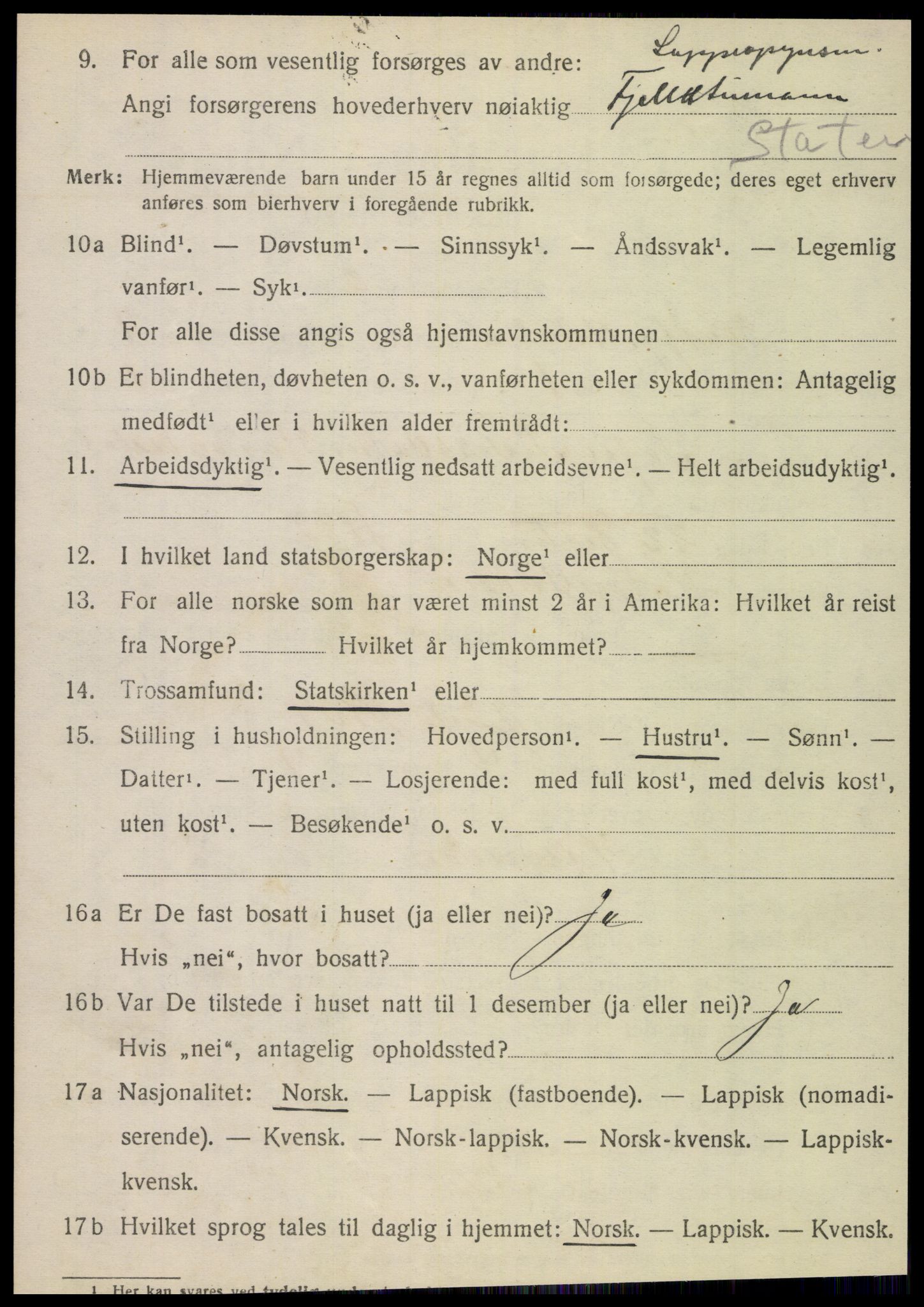 SAT, 1920 census for Hattfjelldal, 1920, p. 2511