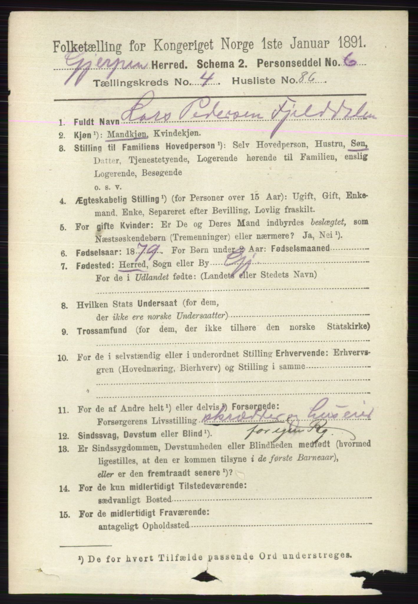 RA, 1891 census for 0812 Gjerpen, 1891, p. 2423