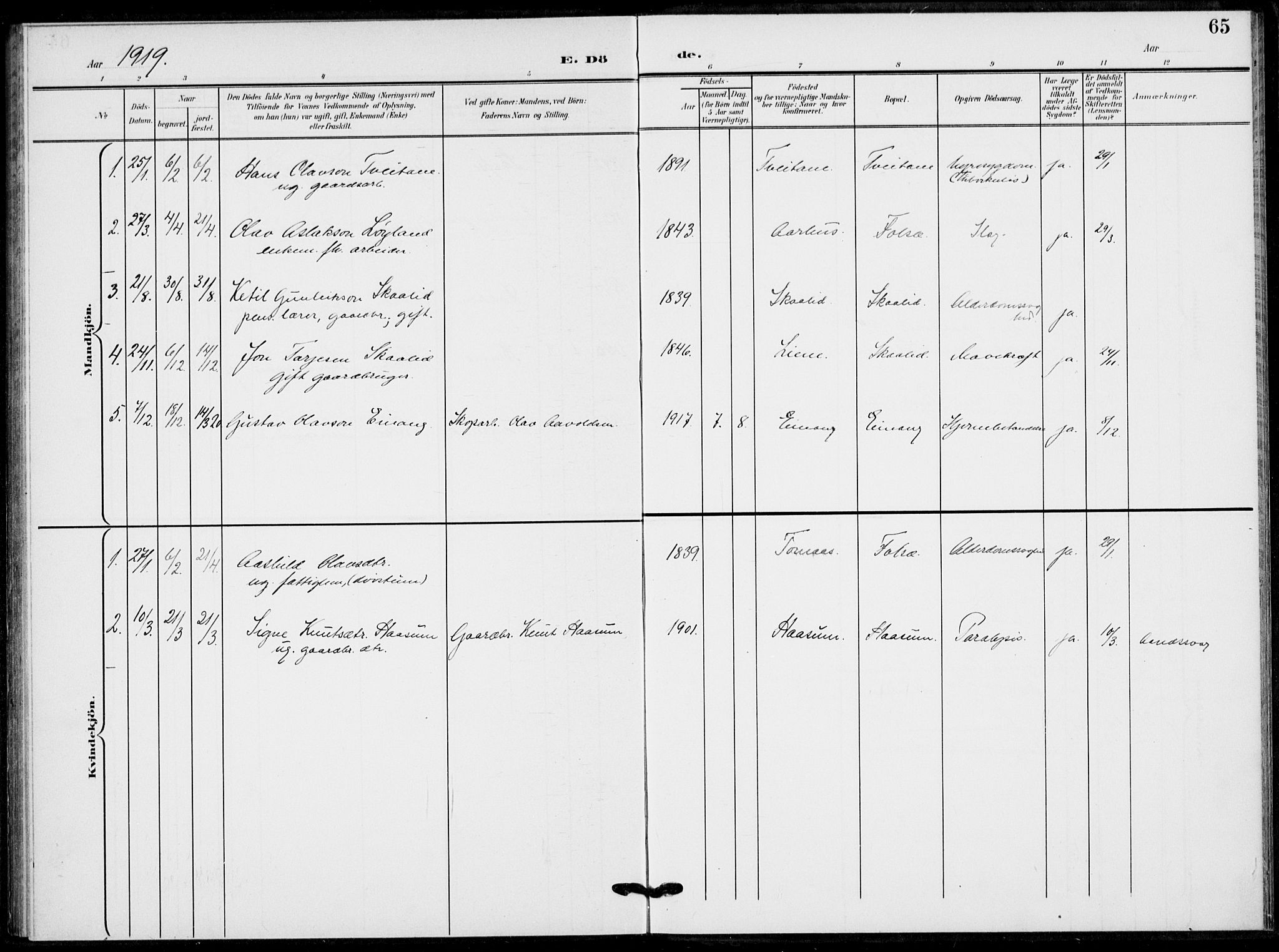 Fyresdal kirkebøker, SAKO/A-263/F/Fb/L0004: Parish register (official) no. II 4, 1903-1920, p. 65