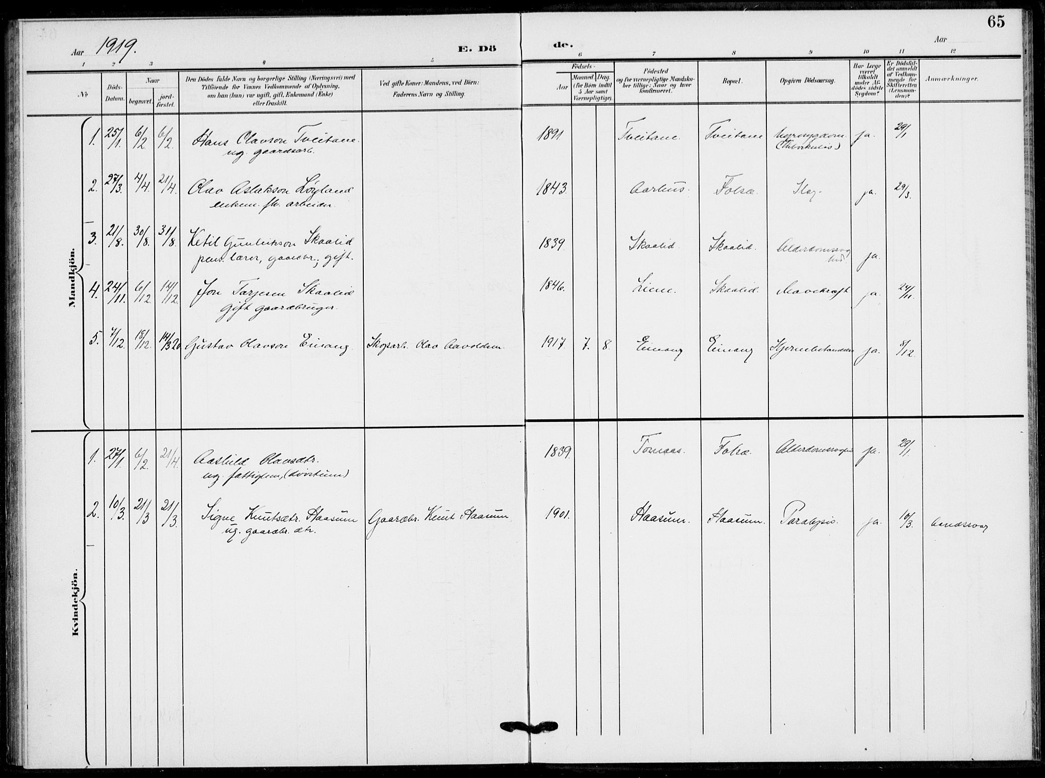 Fyresdal kirkebøker, AV/SAKO-A-263/F/Fb/L0004: Parish register (official) no. II 4, 1903-1920, p. 65