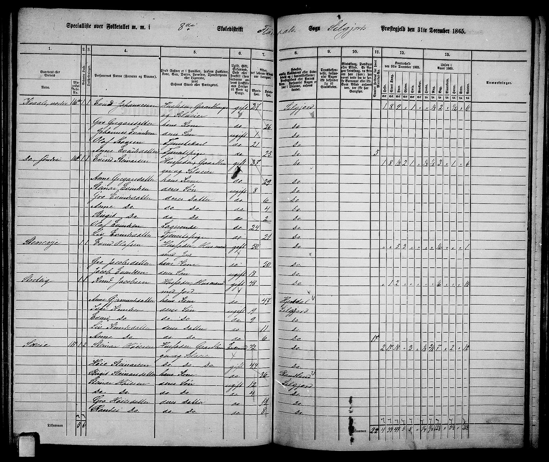 RA, 1865 census for Seljord, 1865, p. 110