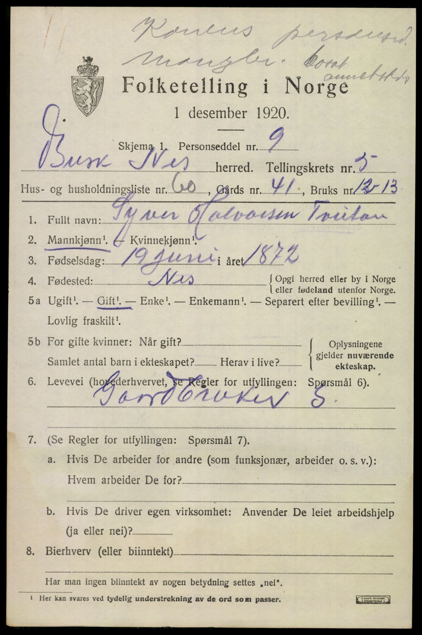 SAKO, 1920 census for Nes (Buskerud), 1920, p. 3060