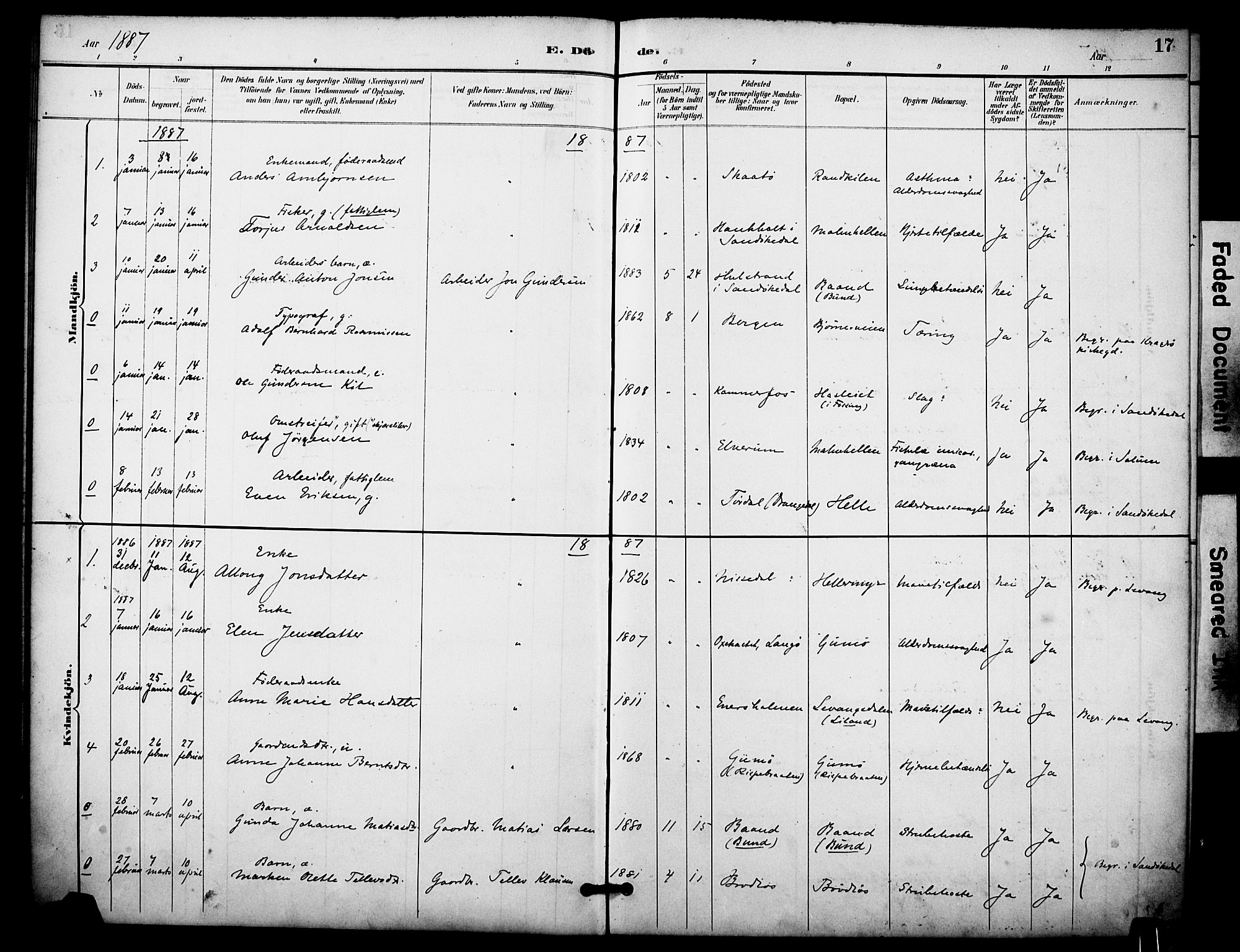 Skåtøy kirkebøker, SAKO/A-304/F/Fa/L0004: Parish register (official) no. I 4, 1884-1900, p. 17