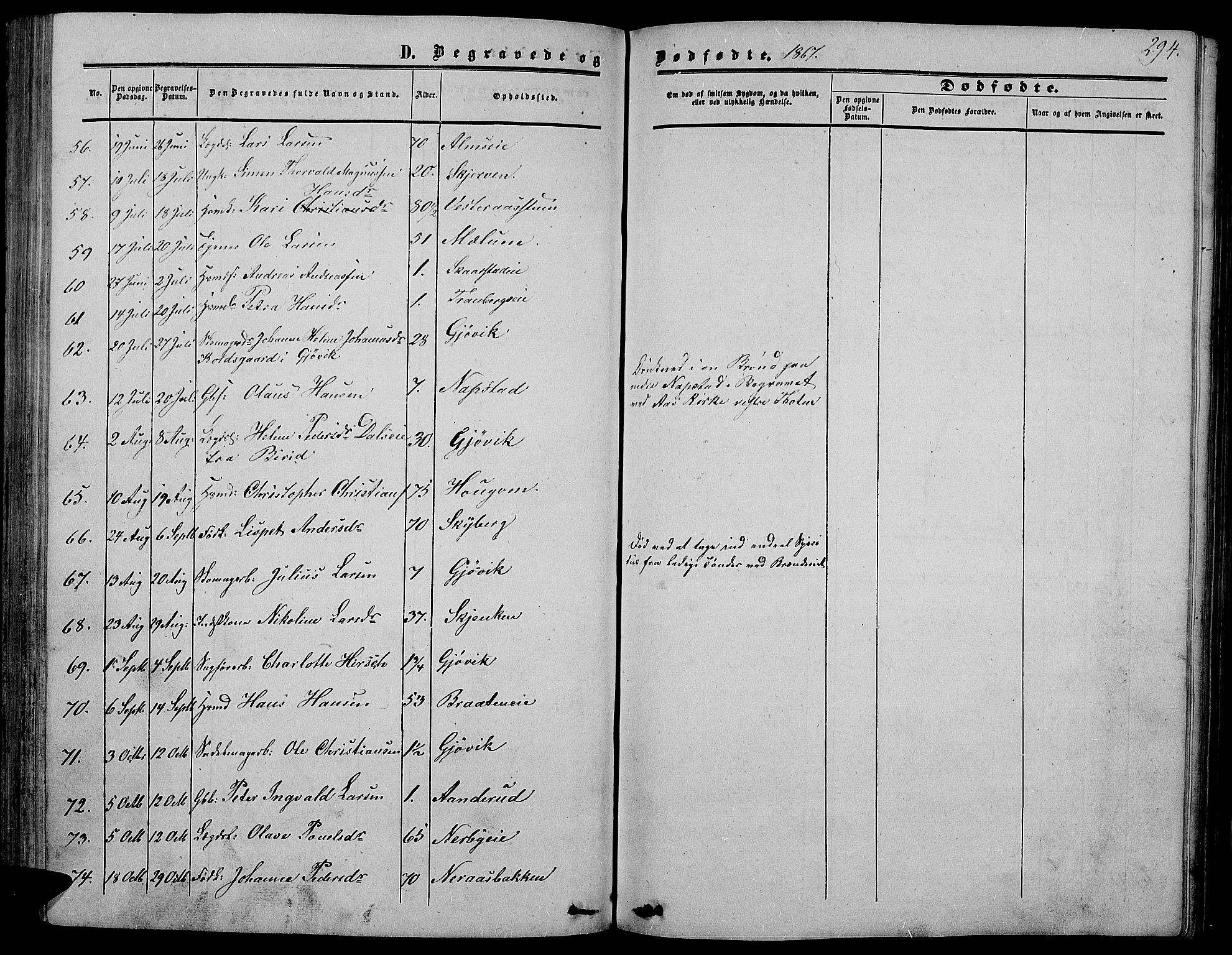 Vardal prestekontor, SAH/PREST-100/H/Ha/Hab/L0005: Parish register (copy) no. 5, 1854-1868, p. 294