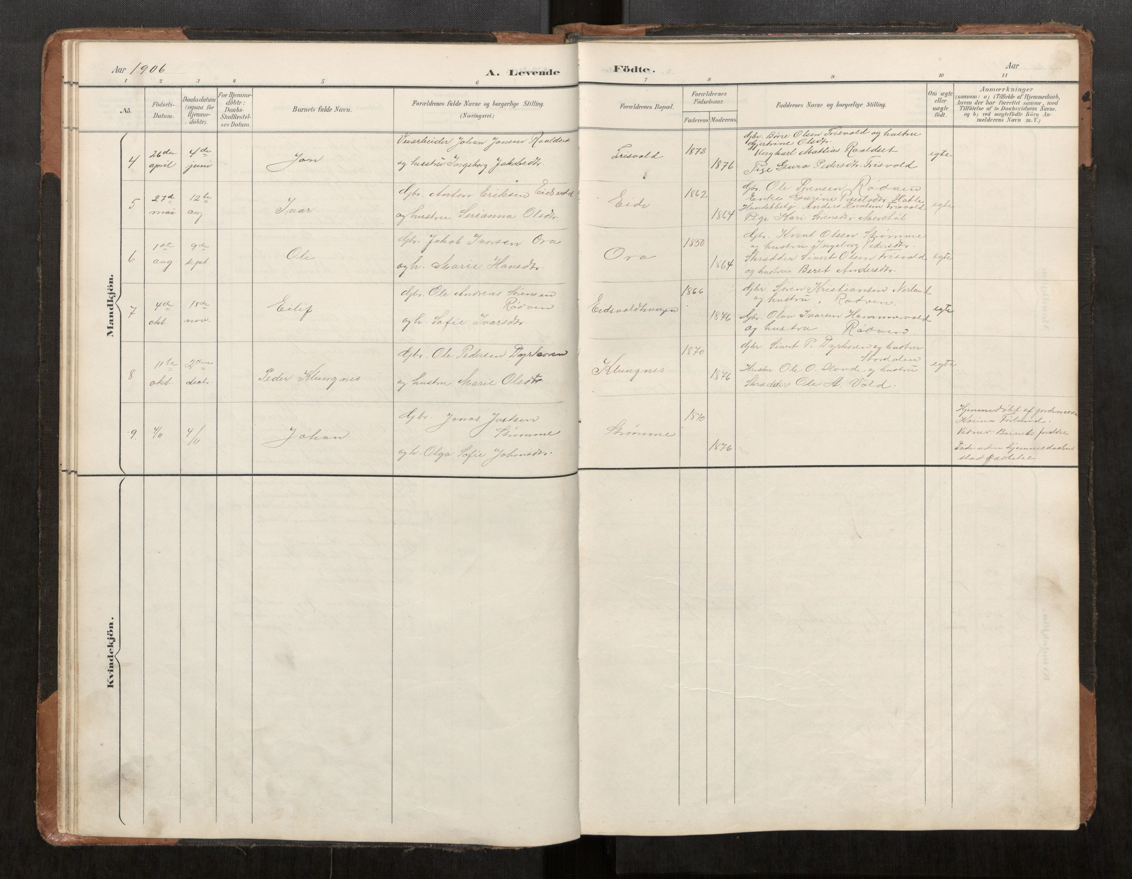 Ministerialprotokoller, klokkerbøker og fødselsregistre - Møre og Romsdal, AV/SAT-A-1454/542/L0561: Parish register (copy) no. 542C03, 1893-1931