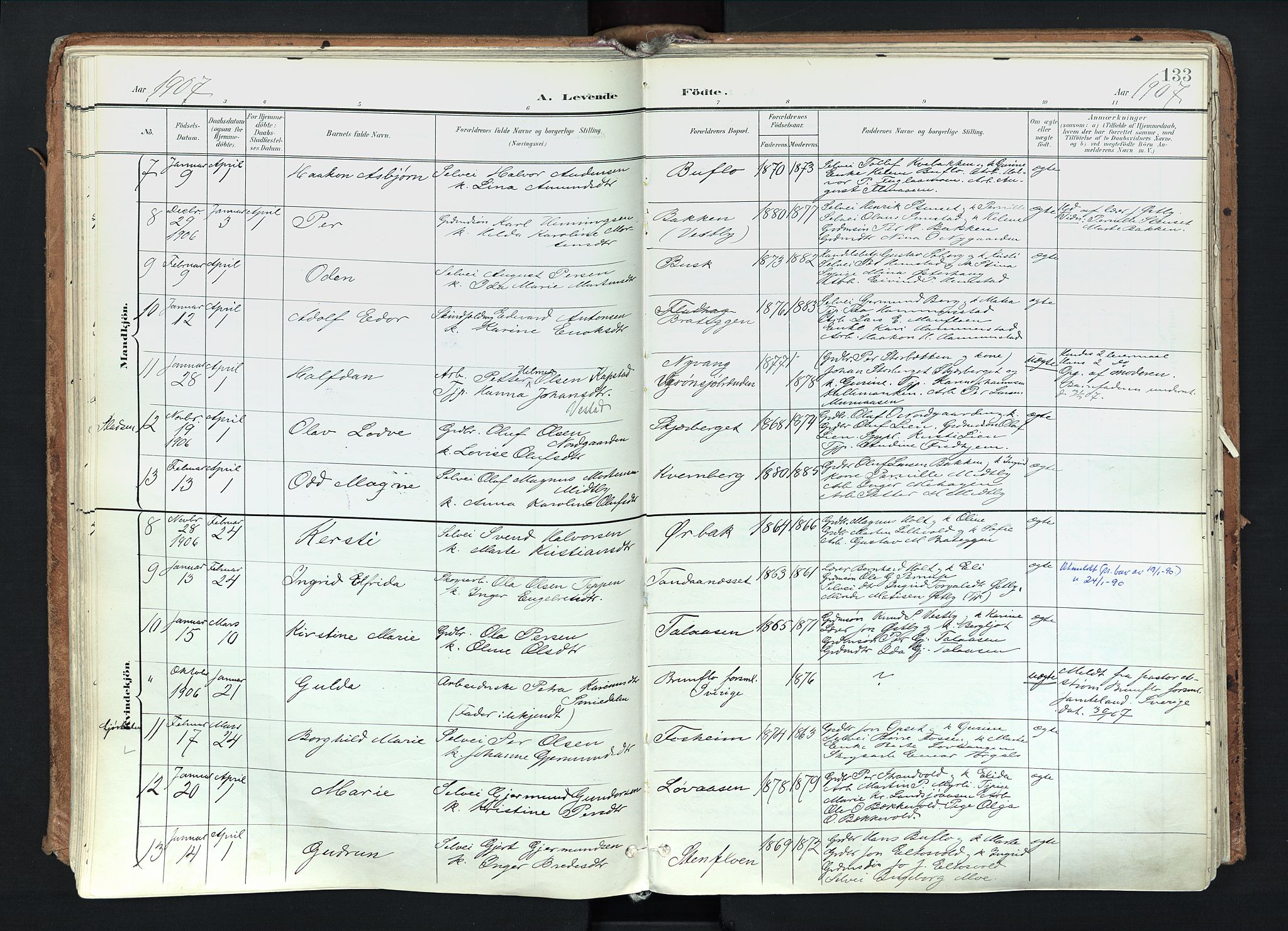 Trysil prestekontor, AV/SAH-PREST-046/H/Ha/Haa/L0012: Parish register (official) no. 12, 1898-1917, p. 133