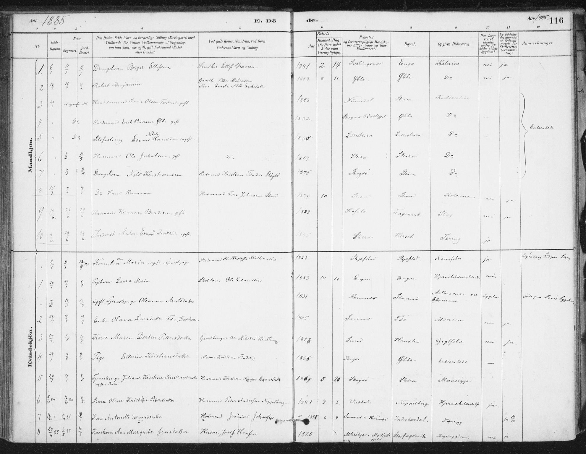 Ministerialprotokoller, klokkerbøker og fødselsregistre - Nordland, AV/SAT-A-1459/838/L0553: Parish register (official) no. 838A11, 1880-1910, p. 116