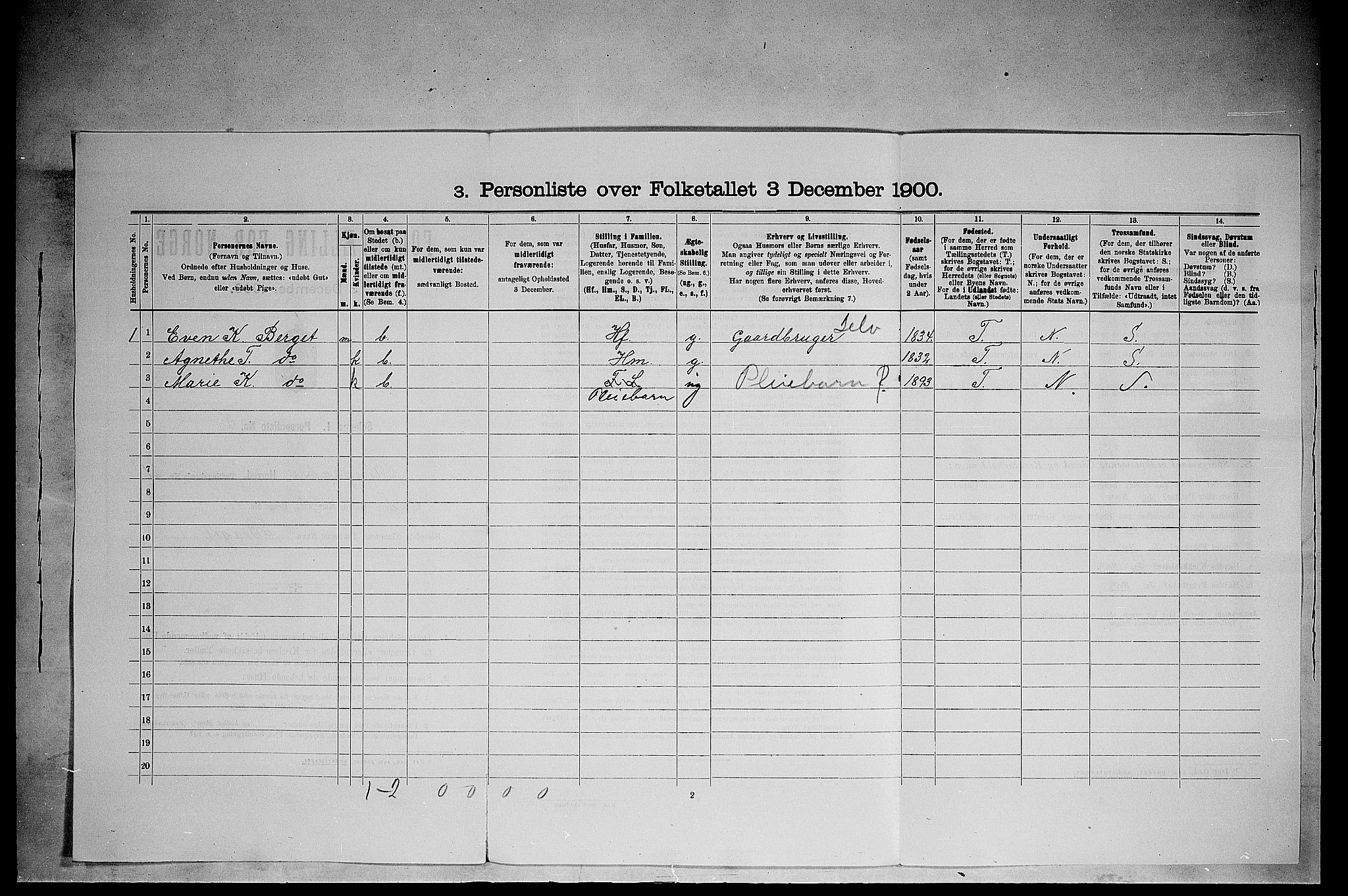 SAH, 1900 census for Ringsaker, 1900, p. 3676