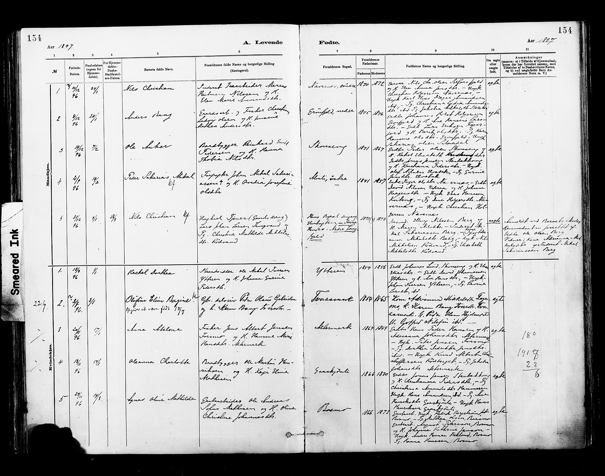 Ministerialprotokoller, klokkerbøker og fødselsregistre - Nordland, AV/SAT-A-1459/827/L0400: Parish register (official) no. 827A12, 1883-1903, p. 154