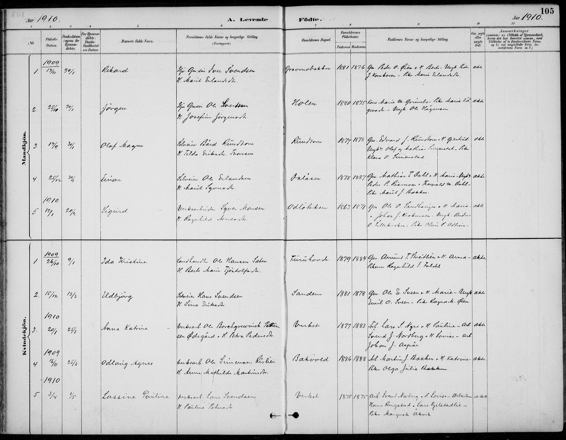 Alvdal prestekontor, AV/SAH-PREST-060/H/Ha/Haa/L0003: Parish register (official) no. 3, 1886-1912, p. 105