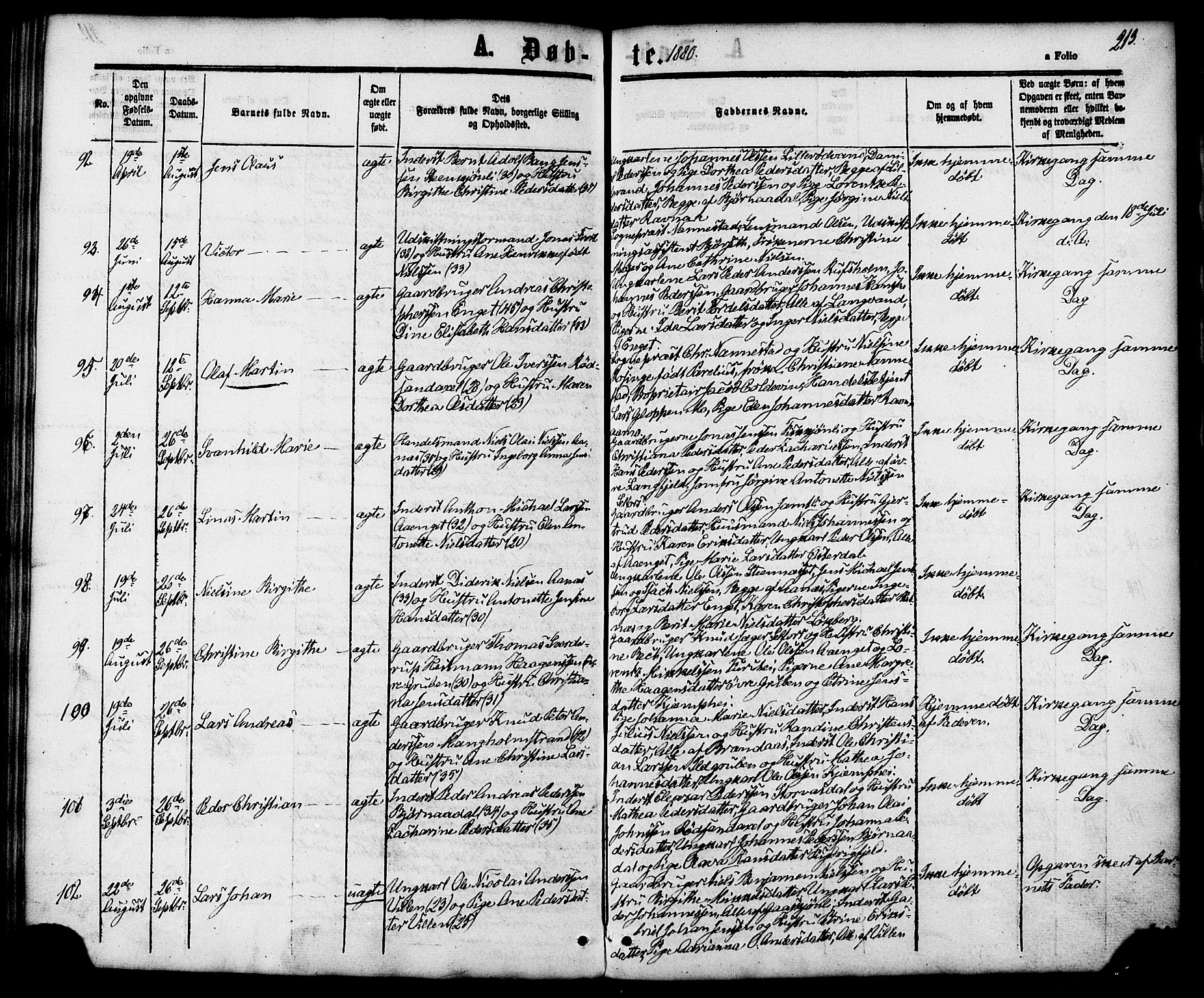 Ministerialprotokoller, klokkerbøker og fødselsregistre - Nordland, AV/SAT-A-1459/827/L0393: Parish register (official) no. 827A05, 1863-1883, p. 213