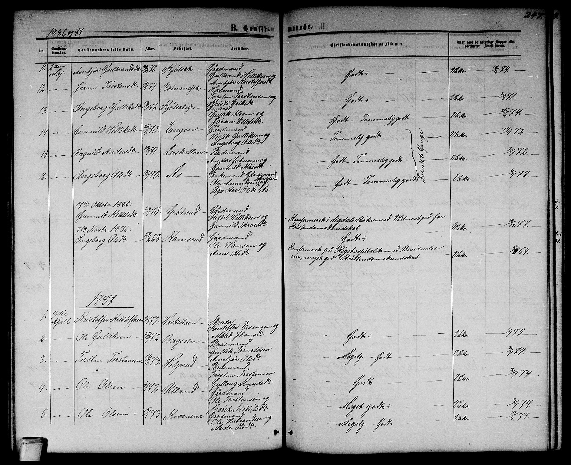 Flesberg kirkebøker, SAKO/A-18/G/Ga/L0003: Parish register (copy) no. I 3, 1861-1889, p. 247