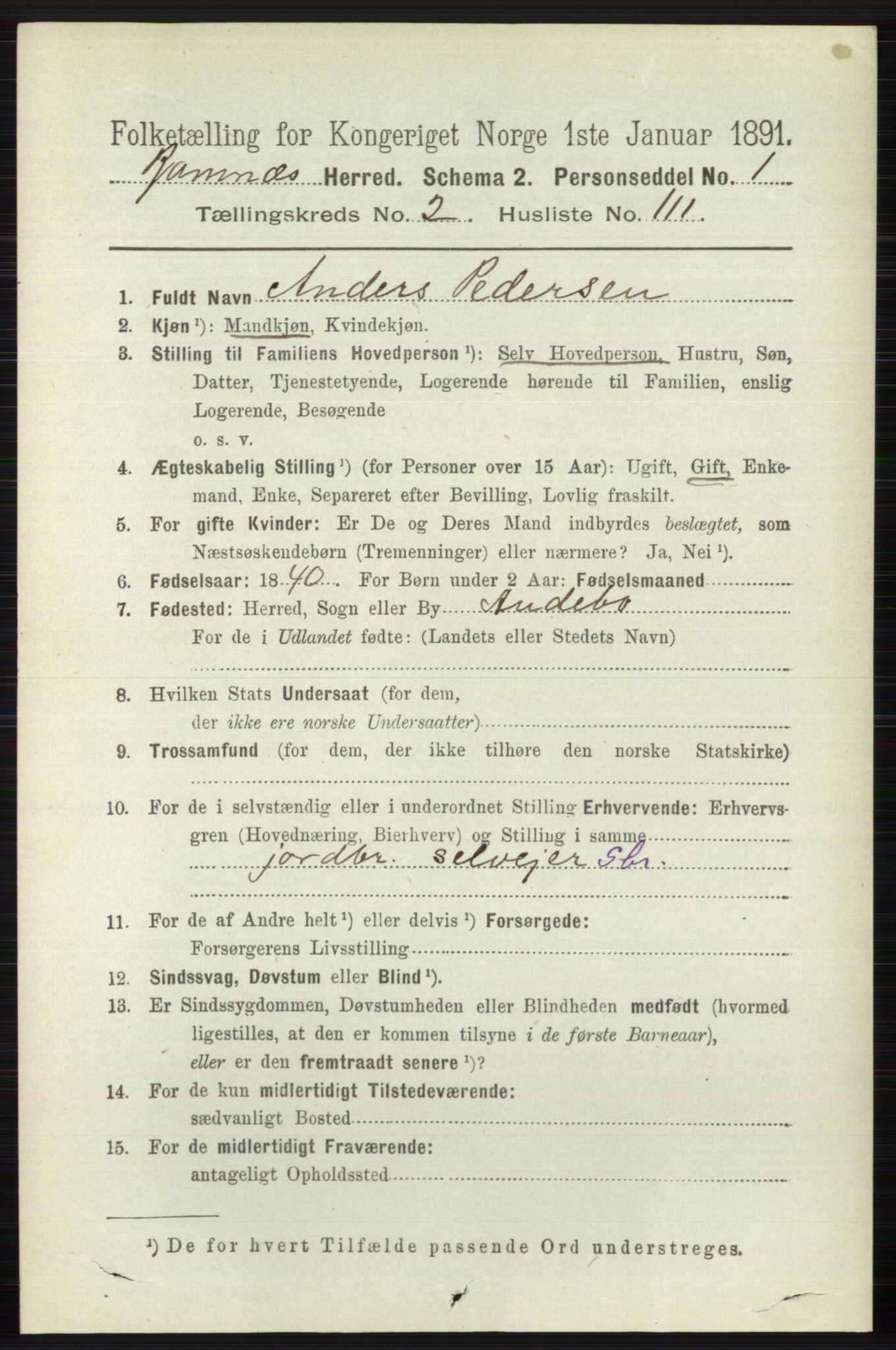 RA, 1891 census for 0718 Ramnes, 1891, p. 1191