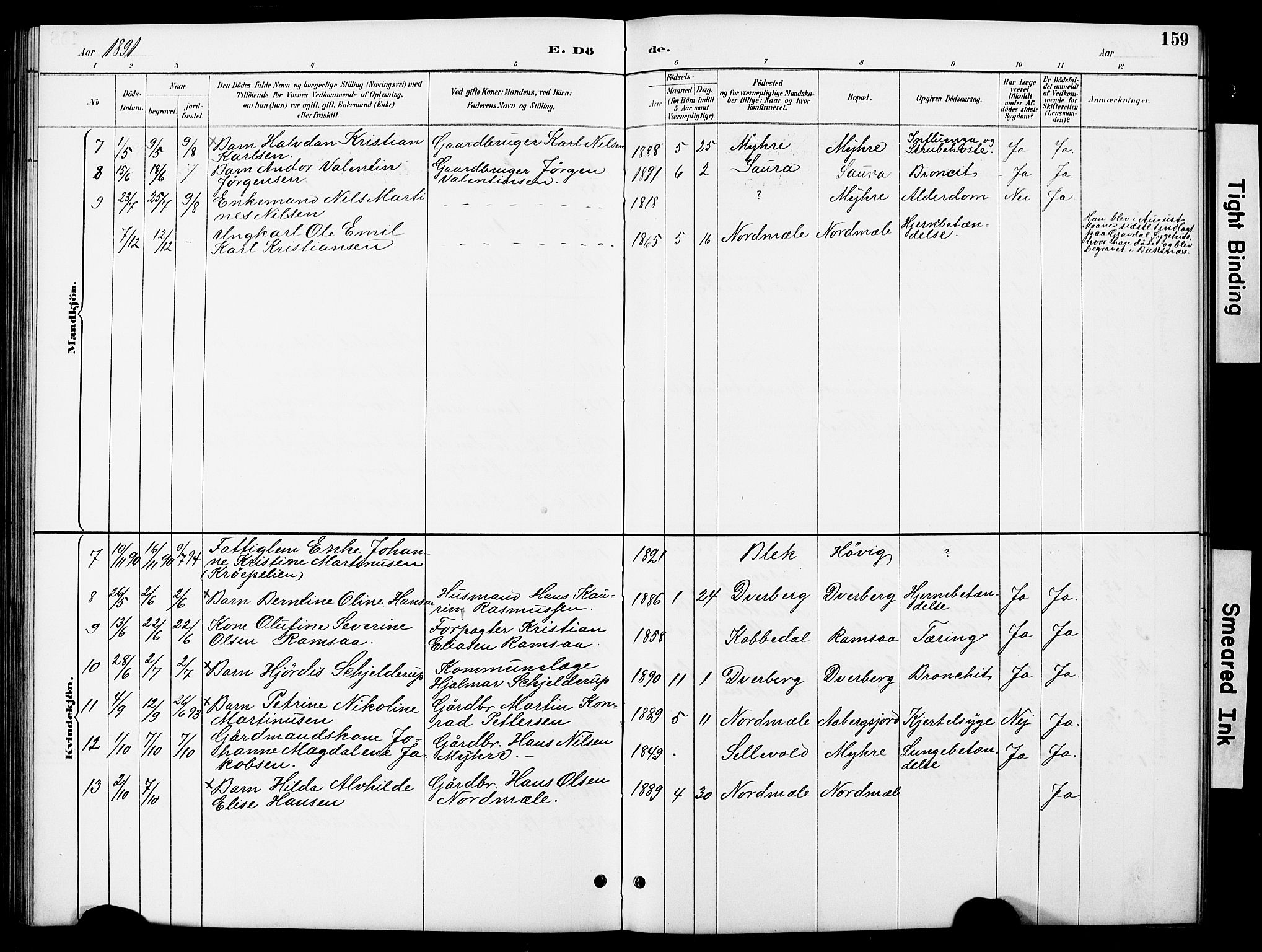 Ministerialprotokoller, klokkerbøker og fødselsregistre - Nordland, AV/SAT-A-1459/897/L1413: Parish register (copy) no. 897C03, 1887-1903, p. 159