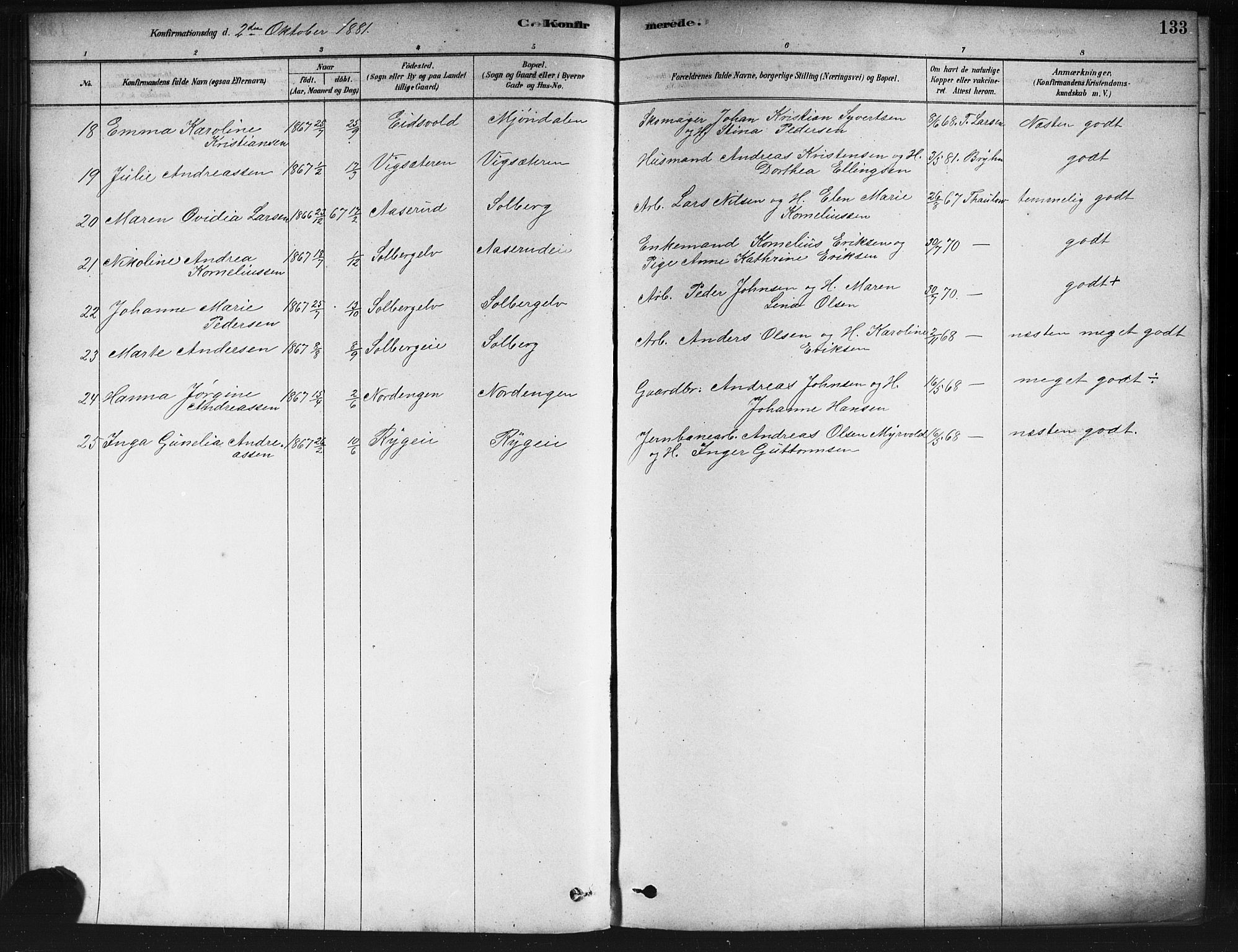 Nedre Eiker kirkebøker, SAKO/A-612/F/Fa/L0002: Parish register (official) no. 2, 1878-1885, p. 133
