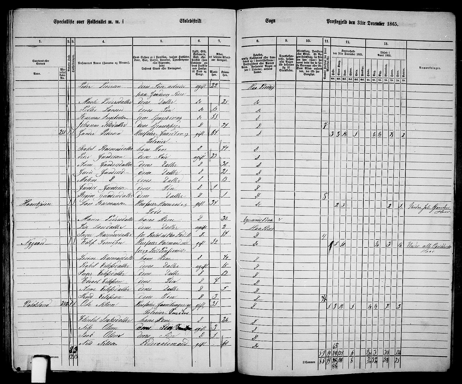 RA, 1865 census for Hå, 1865, p. 108
