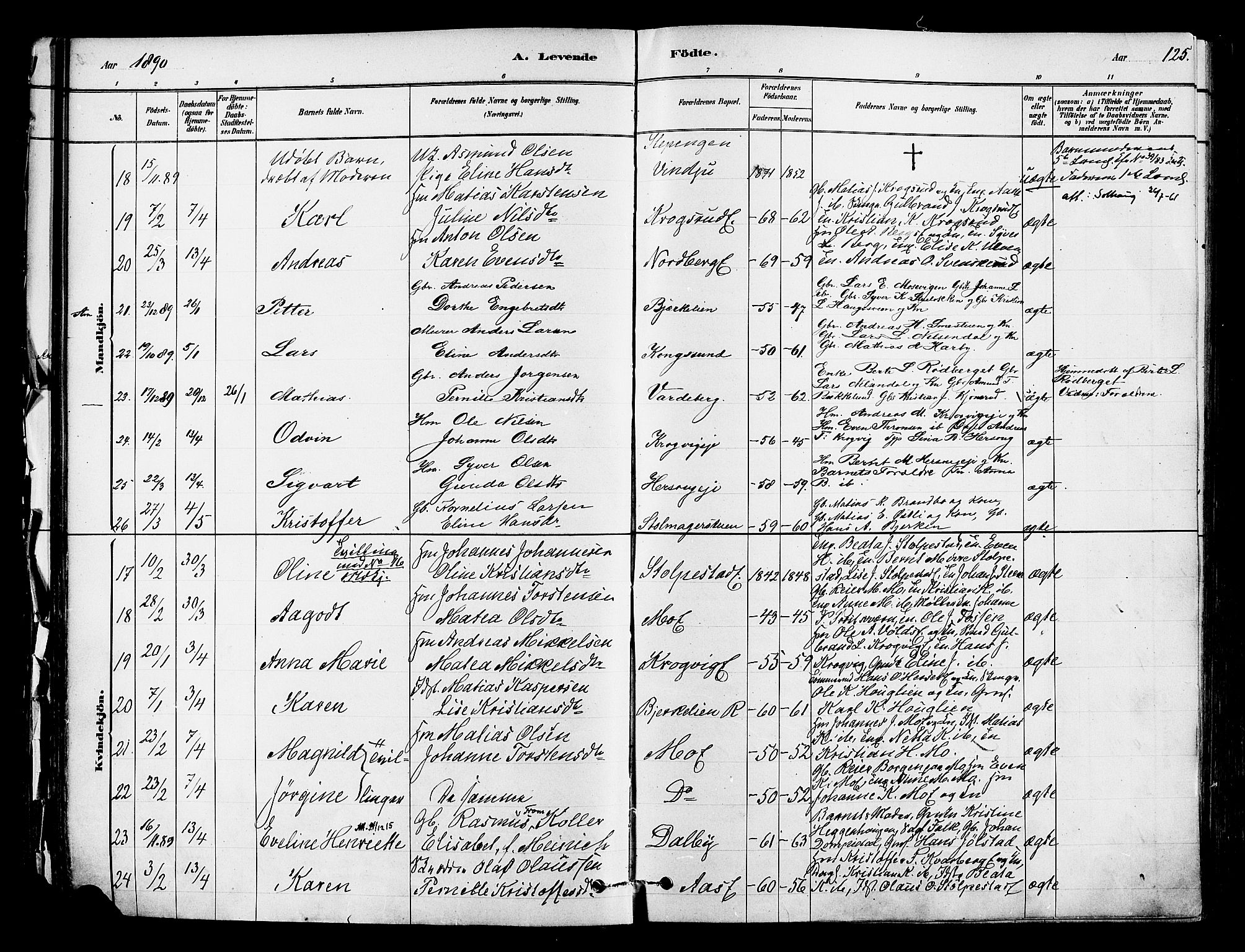 Ringsaker prestekontor, SAH/PREST-014/K/Ka/L0012: Parish register (official) no. 12, 1879-1890, p. 125