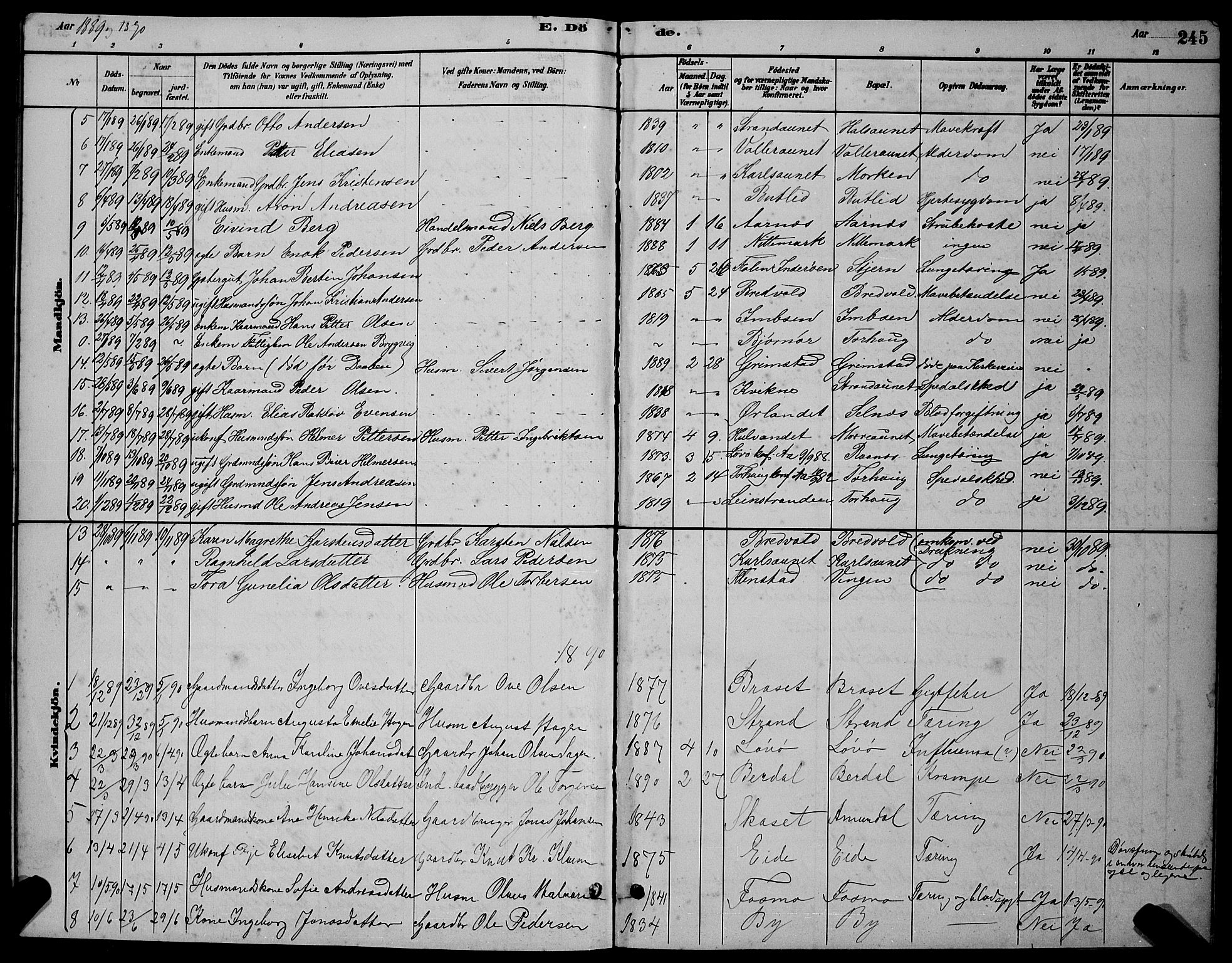 Ministerialprotokoller, klokkerbøker og fødselsregistre - Sør-Trøndelag, SAT/A-1456/655/L0687: Parish register (copy) no. 655C03, 1880-1898, p. 245