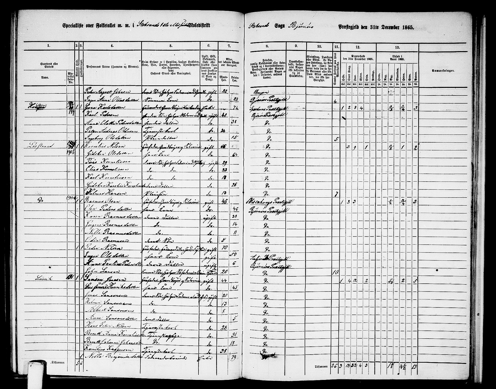 RA, 1865 census for Bjørnør, 1865, p. 129