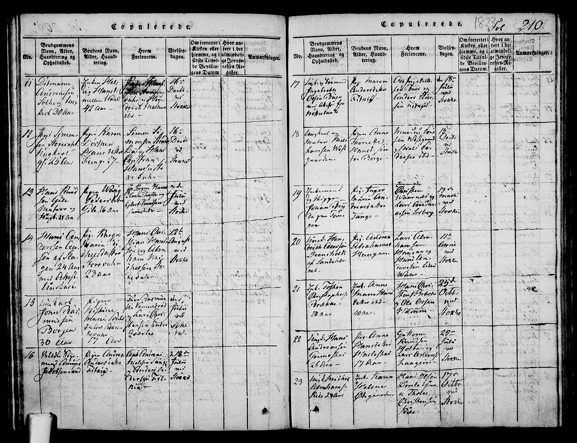 Stokke kirkebøker, AV/SAKO-A-320/F/Fa/L0005: Parish register (official) no. I 5, 1815-1826, p. 210