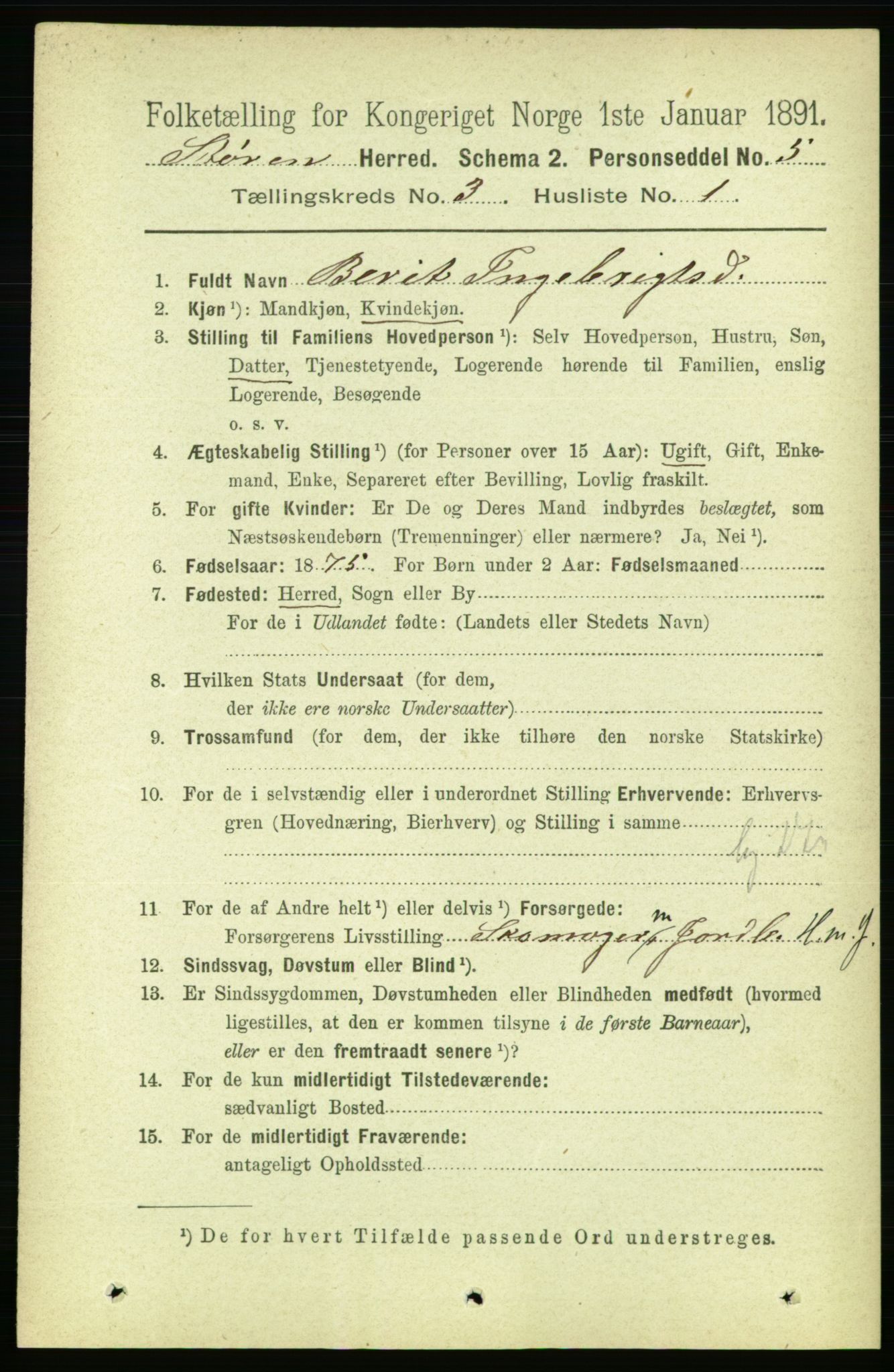 RA, 1891 census for 1648 Støren, 1891, p. 795