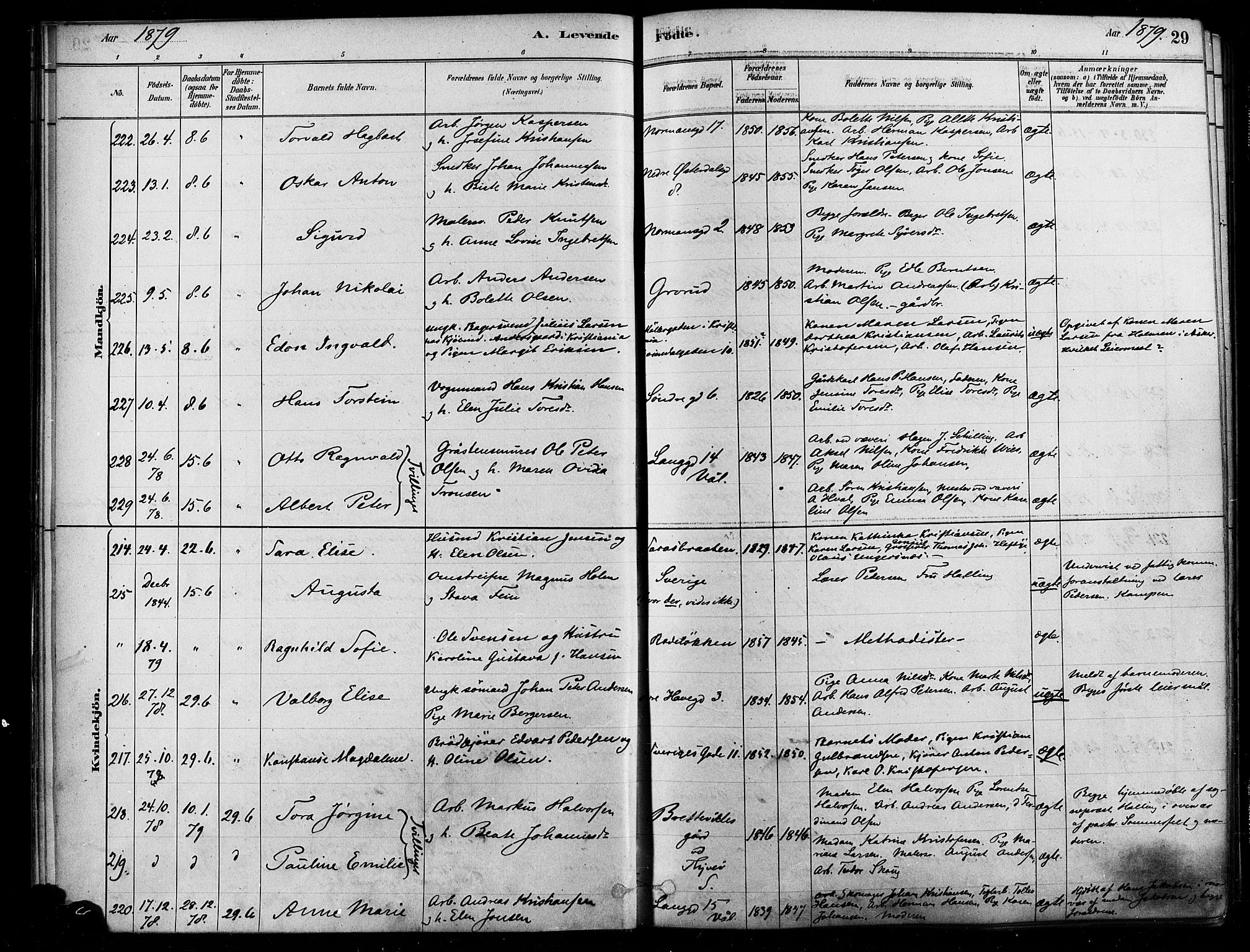 Østre Aker prestekontor Kirkebøker, SAO/A-10840/F/Fa/L0006: Parish register (official) no. I 5, 1879-1882, p. 29