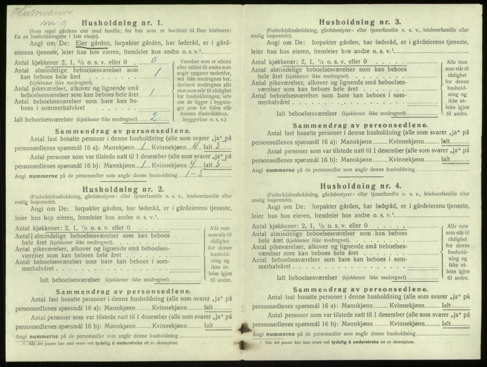 SAB, 1920 census for Lærdal, 1920, p. 380