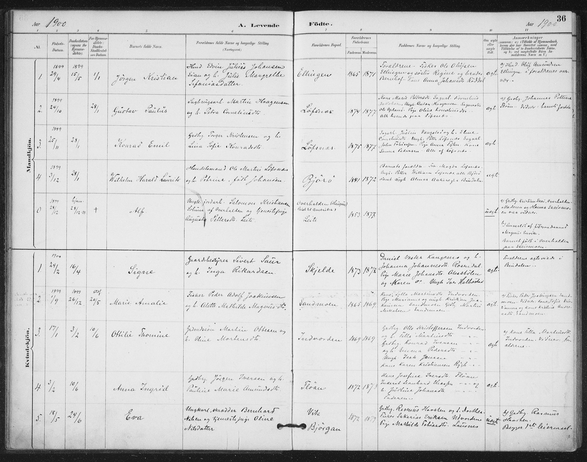Ministerialprotokoller, klokkerbøker og fødselsregistre - Nord-Trøndelag, SAT/A-1458/772/L0603: Parish register (official) no. 772A01, 1885-1912, p. 36
