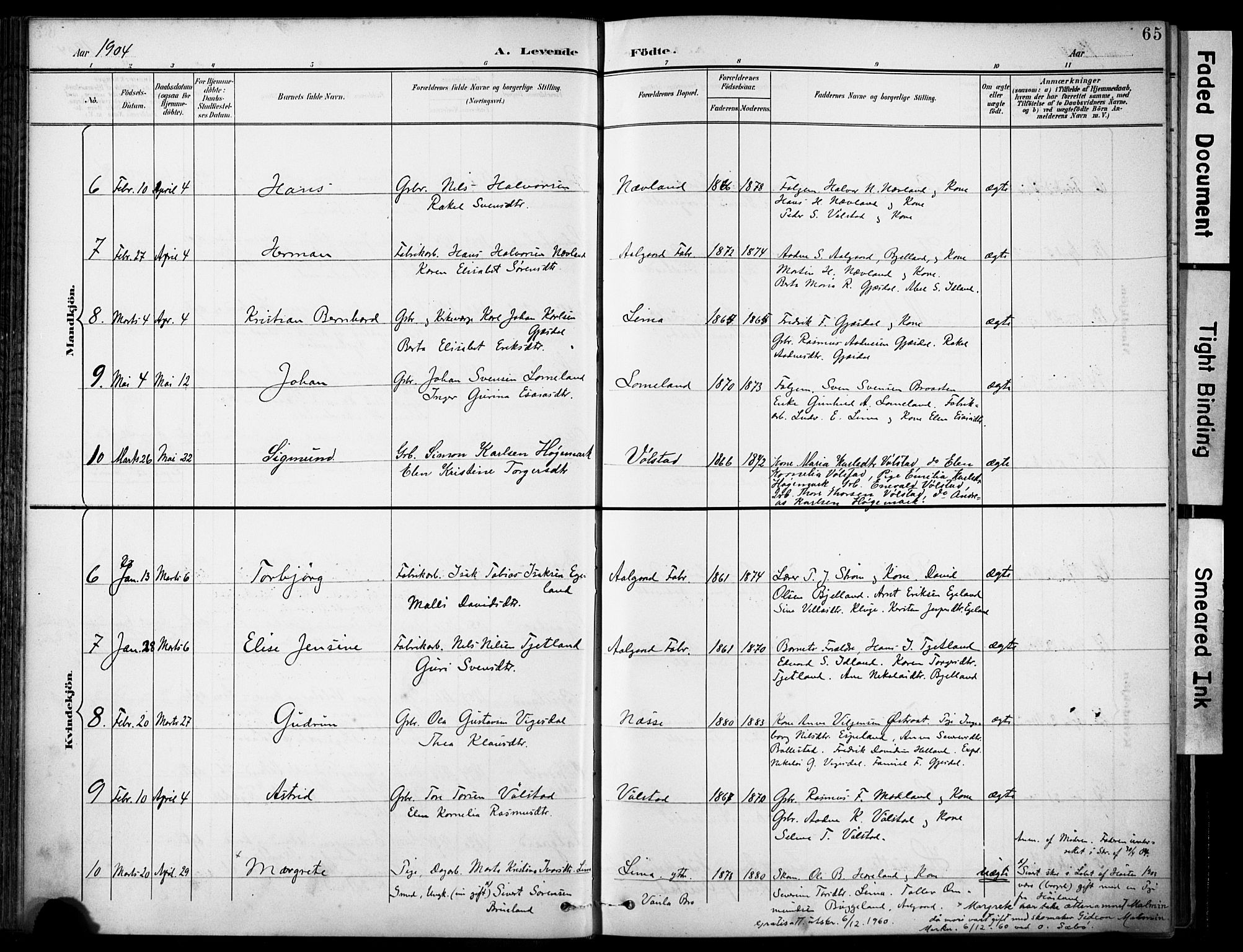Lye sokneprestkontor, SAST/A-101794/001/30BA/L0012: Parish register (official) no. A 11, 1896-1909, p. 65