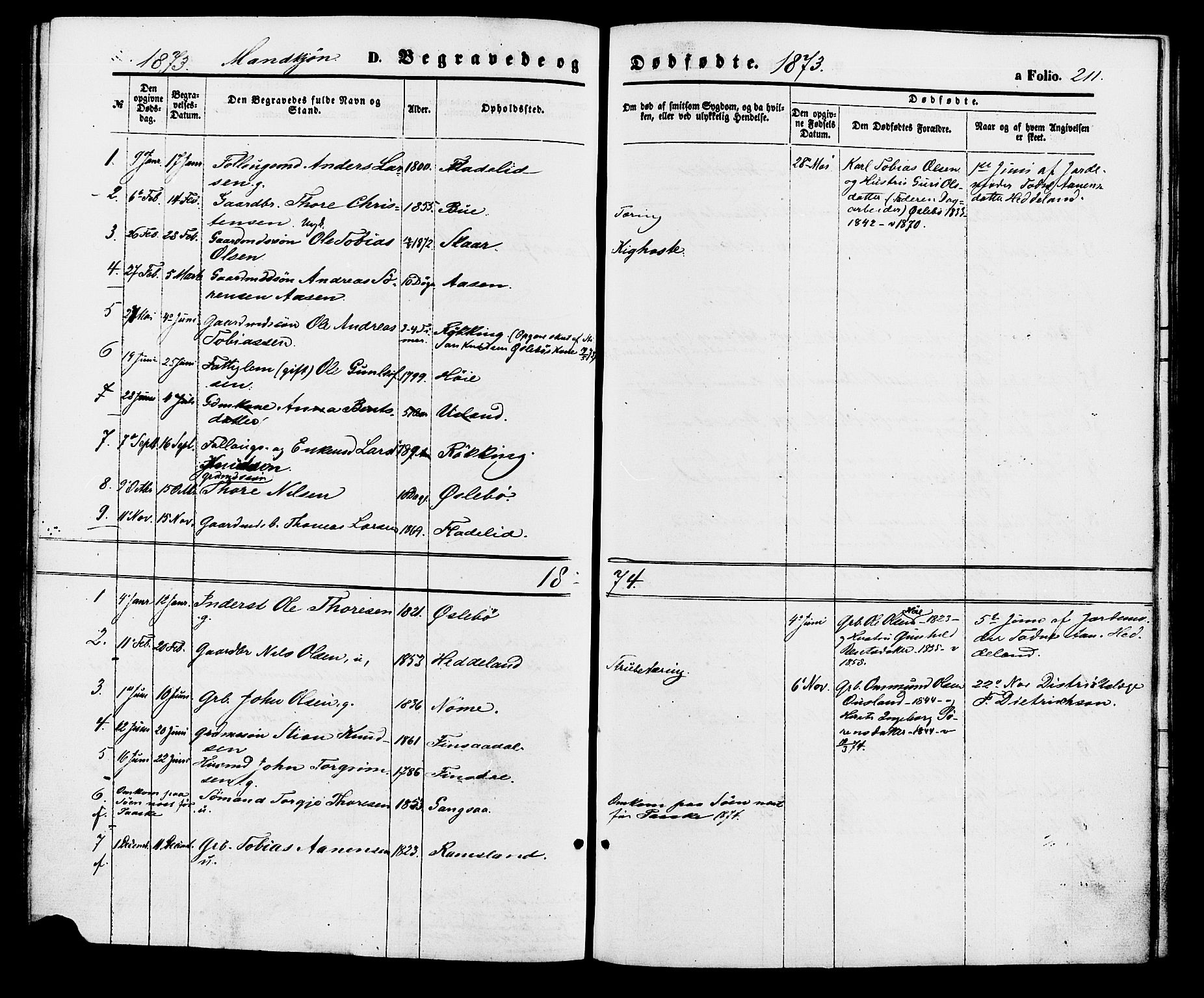 Holum sokneprestkontor, SAK/1111-0022/F/Fa/Fac/L0003: Parish register (official) no. A 3, 1860-1883, p. 211