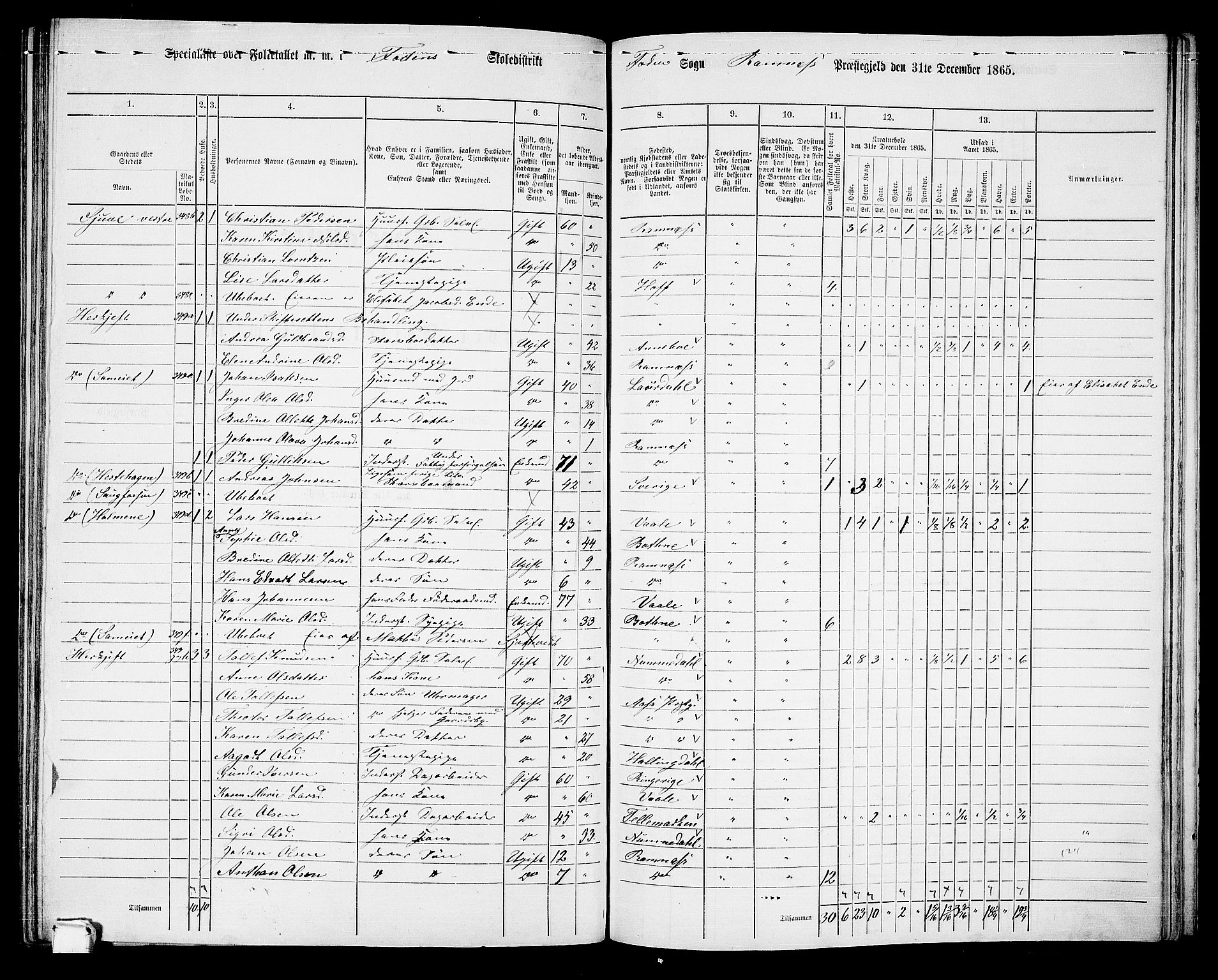 RA, 1865 census for Ramnes, 1865, p. 102