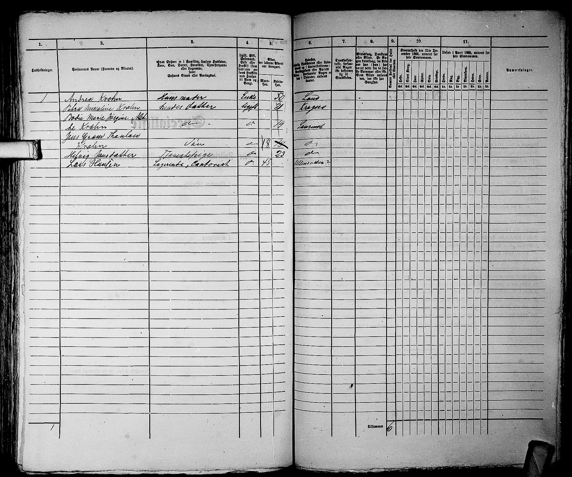 RA, 1865 census for Larvik, 1865, p. 537