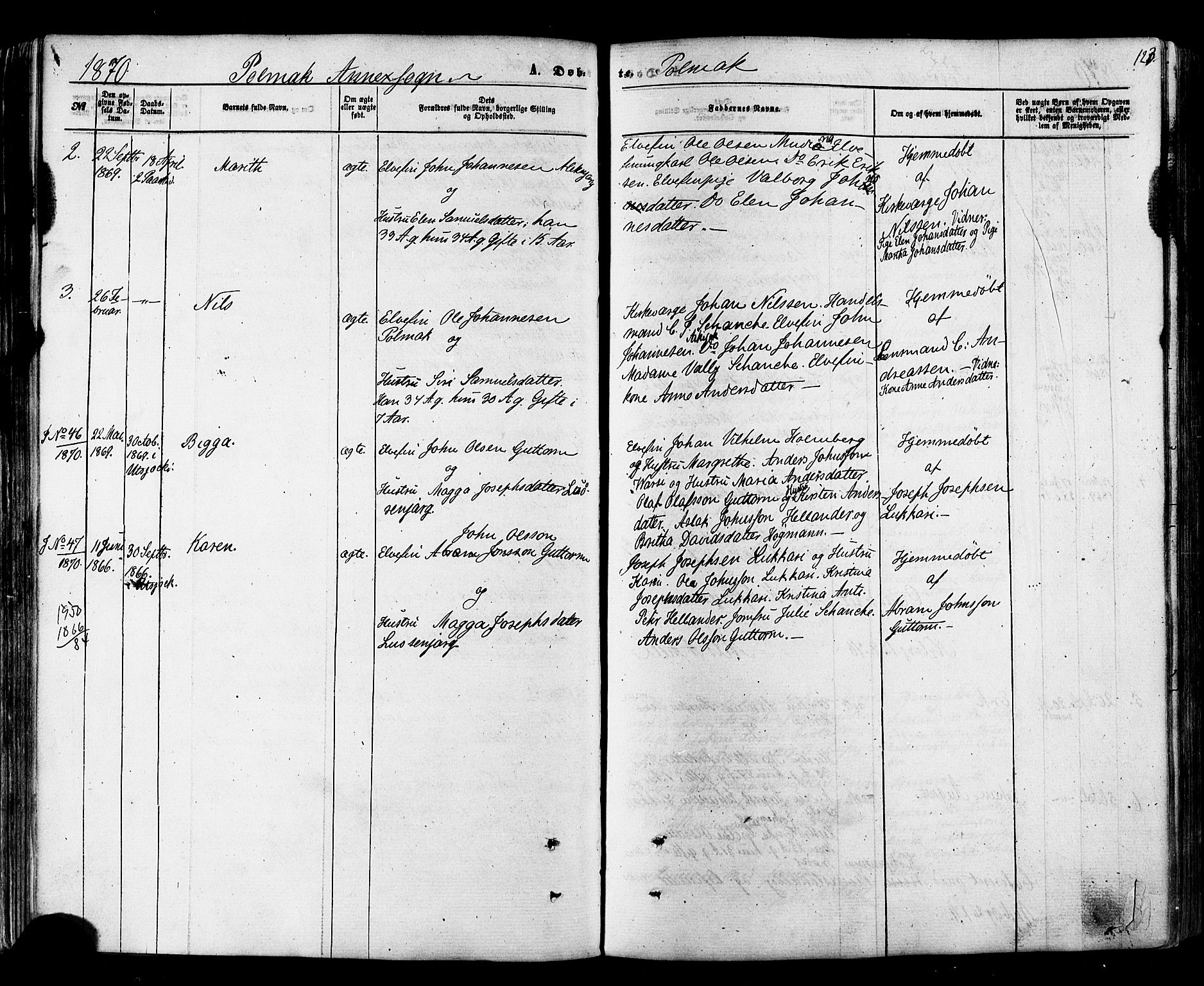 Nesseby sokneprestkontor, SATØ/S-1330/H/Ha/L0003kirke: Parish register (official) no. 3 /2, 1866-1876, p. 123