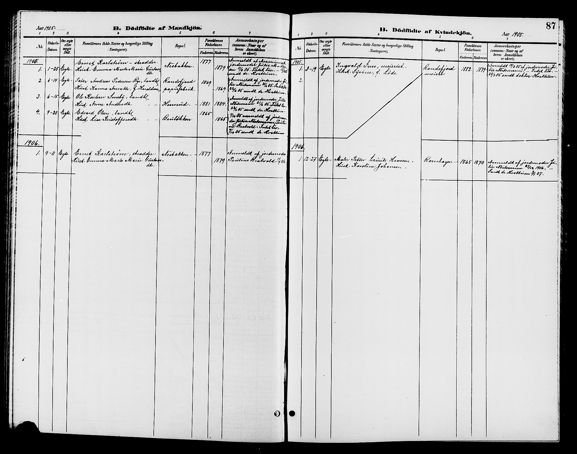 Jevnaker prestekontor, AV/SAH-PREST-116/H/Ha/Hab/L0002: Parish register (copy) no. 2, 1896-1906, p. 87