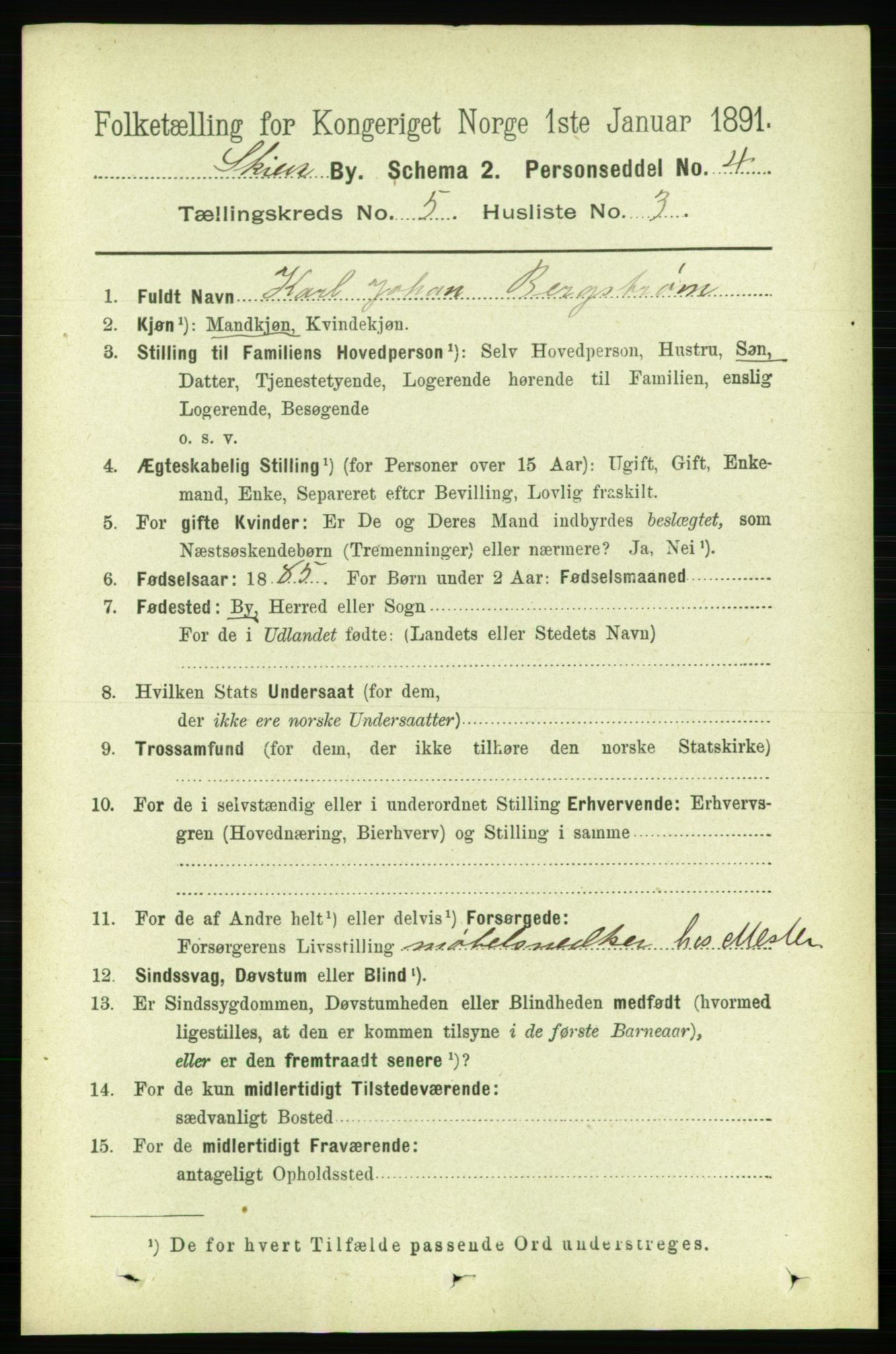 RA, 1891 census for 0806 Skien, 1891, p. 2906