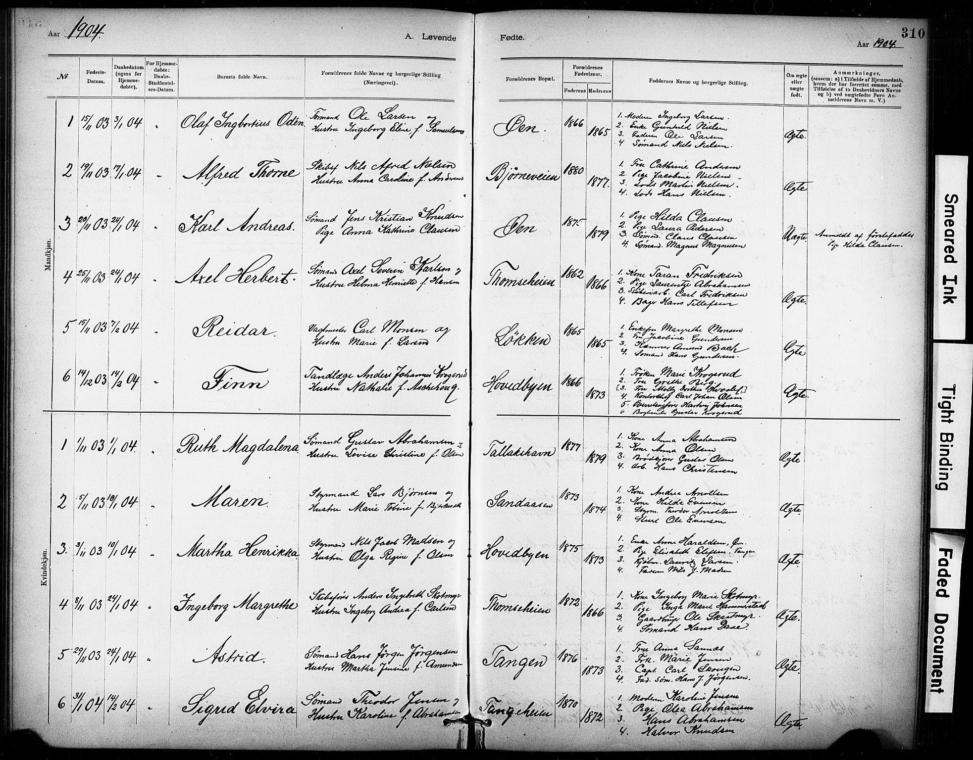Kragerø kirkebøker, AV/SAKO-A-278/G/Ga/L0007: Parish register (copy) no. 7, 1881-1927, p. 310