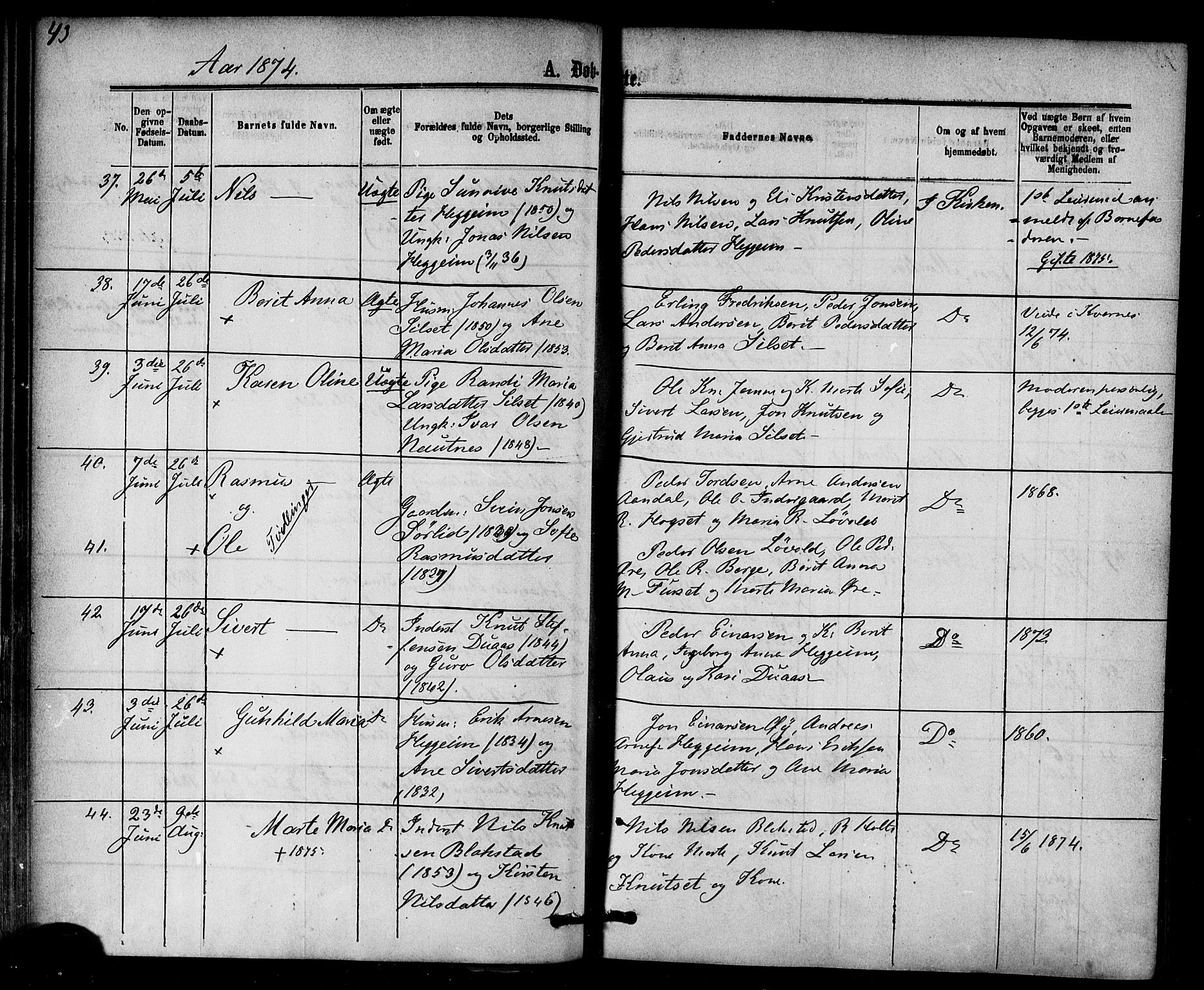 Ministerialprotokoller, klokkerbøker og fødselsregistre - Møre og Romsdal, AV/SAT-A-1454/584/L0966: Parish register (official) no. 584A06, 1869-1878, p. 43