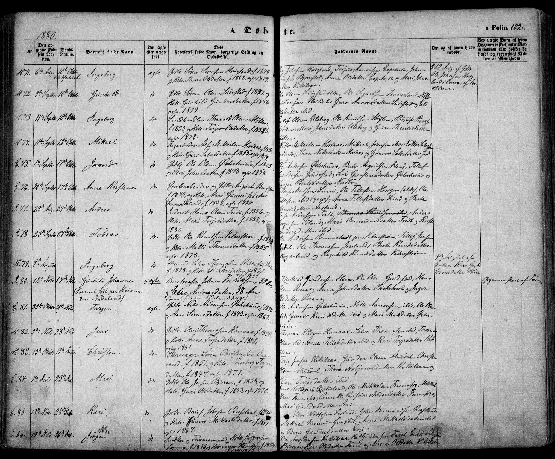 Evje sokneprestkontor, AV/SAK-1111-0008/F/Fa/Faa/L0006: Parish register (official) no. A 6, 1866-1884, p. 102