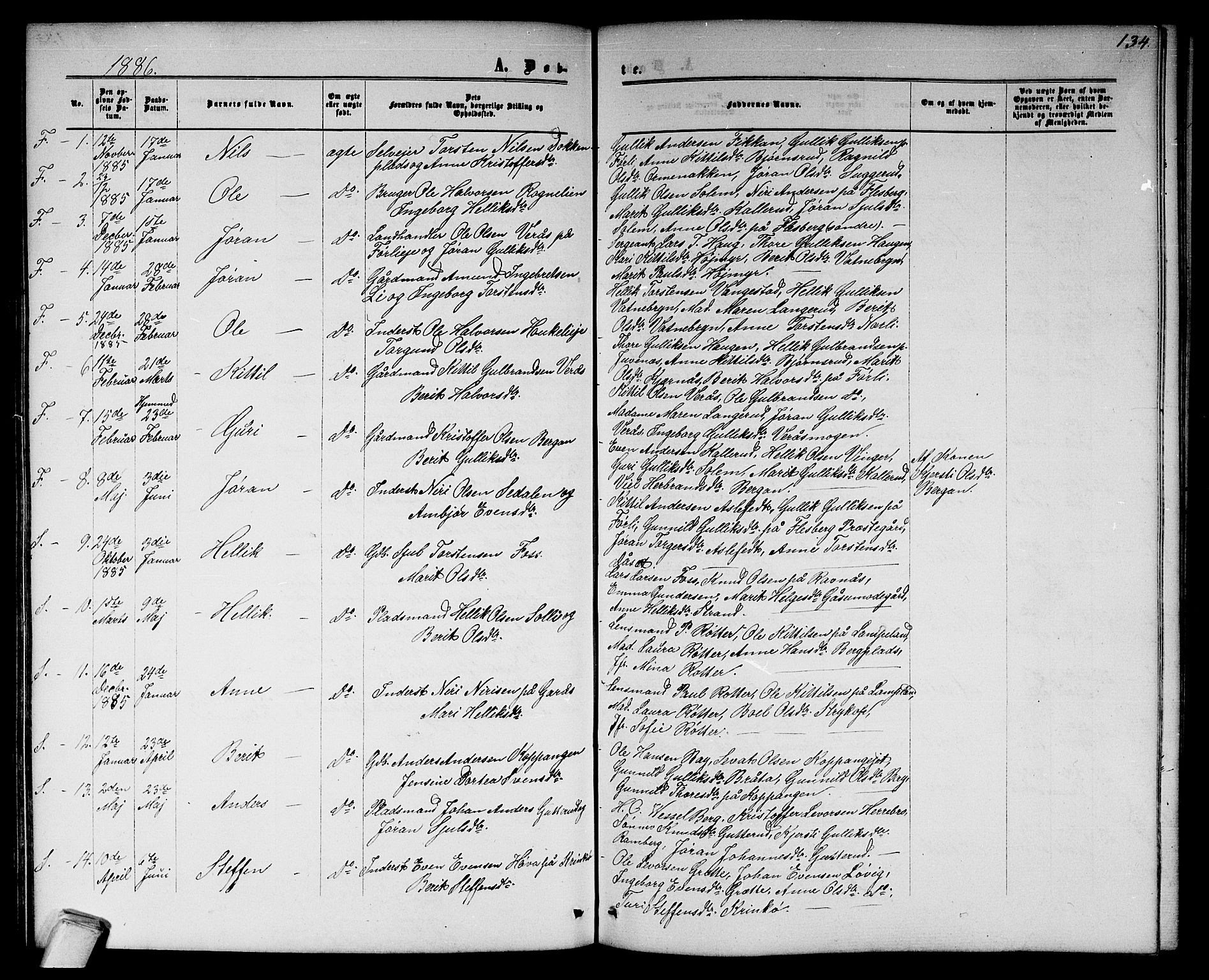 Flesberg kirkebøker, SAKO/A-18/G/Ga/L0003: Parish register (copy) no. I 3, 1861-1889, p. 134