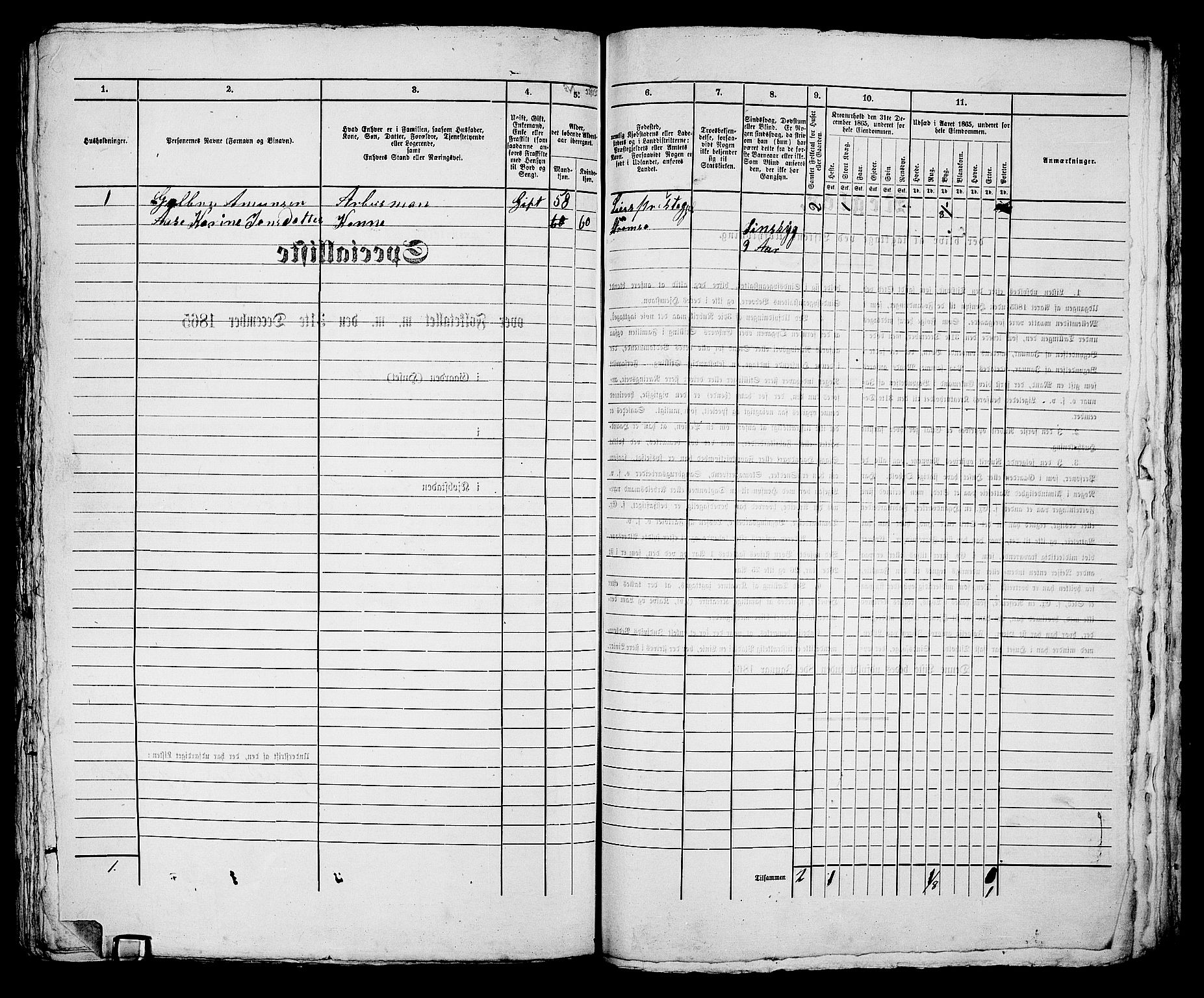 RA, 1865 census for Bragernes in Drammen, 1865, p. 1166