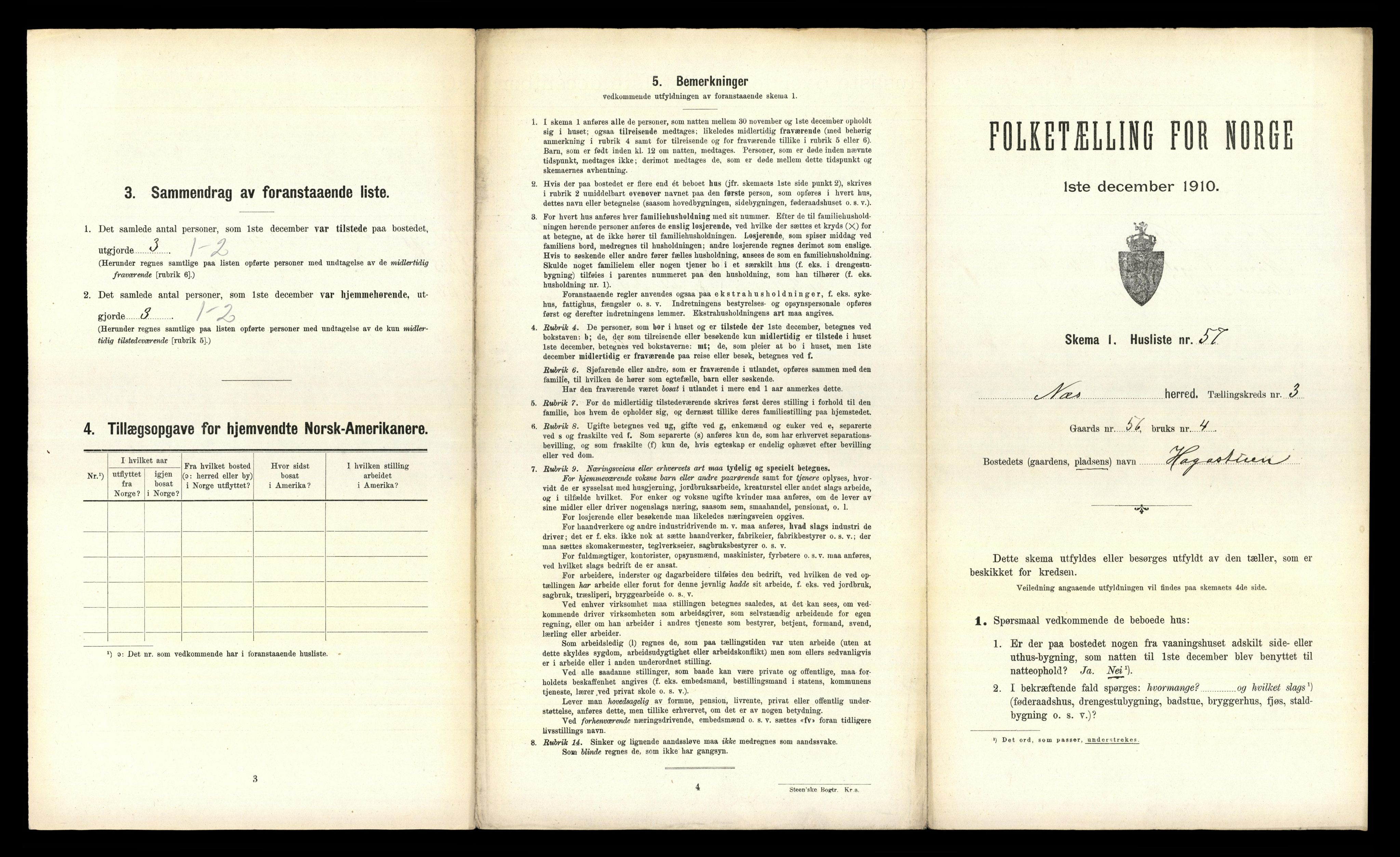 RA, 1910 census for Nes, 1910, p. 650