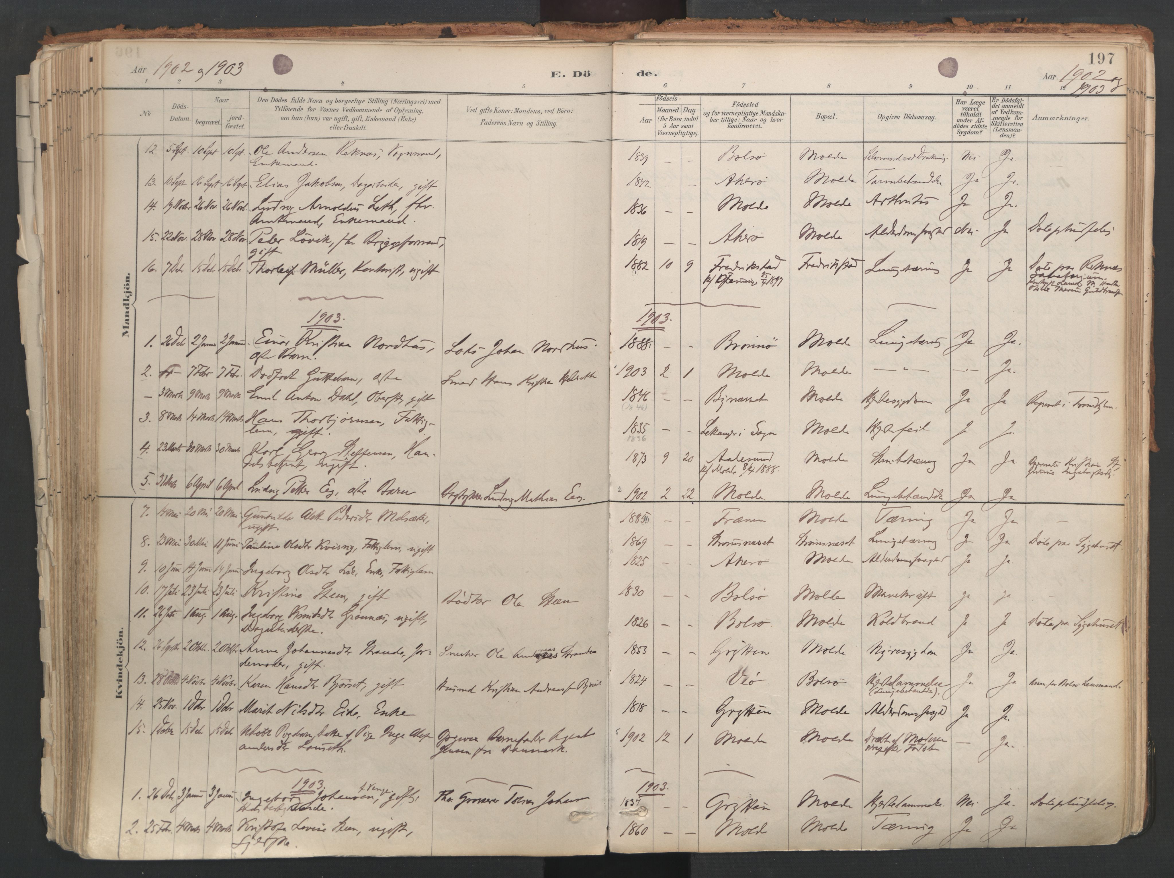 Ministerialprotokoller, klokkerbøker og fødselsregistre - Møre og Romsdal, AV/SAT-A-1454/558/L0692: Parish register (official) no. 558A06, 1887-1971, p. 197