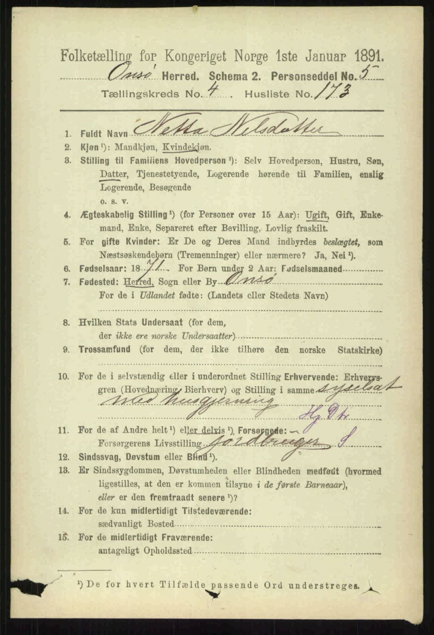 RA, 1891 census for 0134 Onsøy, 1891, p. 3700