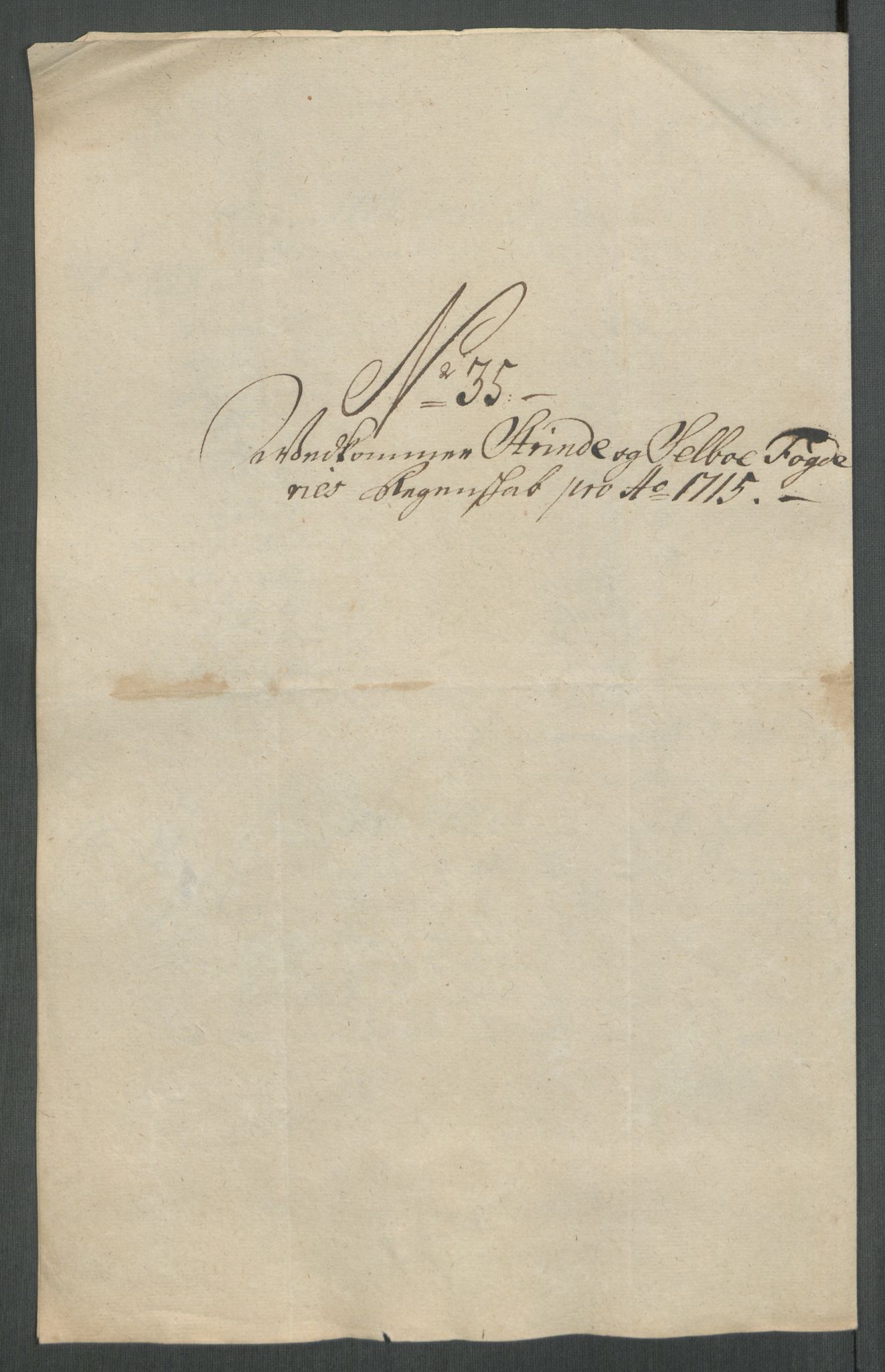 Rentekammeret inntil 1814, Reviderte regnskaper, Fogderegnskap, AV/RA-EA-4092/R61/L4115: Fogderegnskap Strinda og Selbu, 1715-1716, p. 231