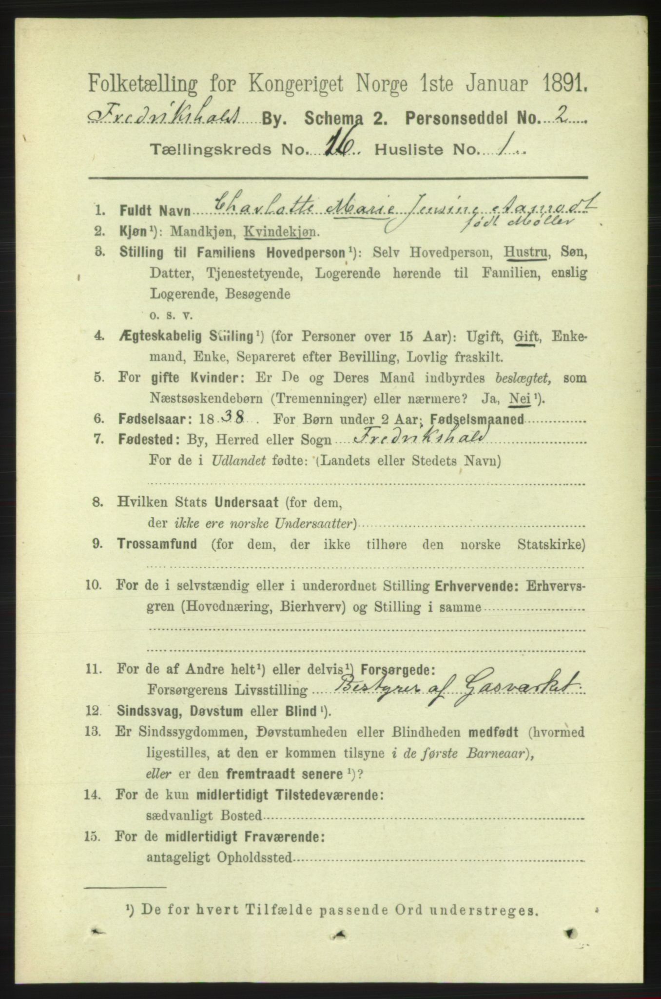 RA, 1891 census for 0101 Fredrikshald, 1891, p. 10383